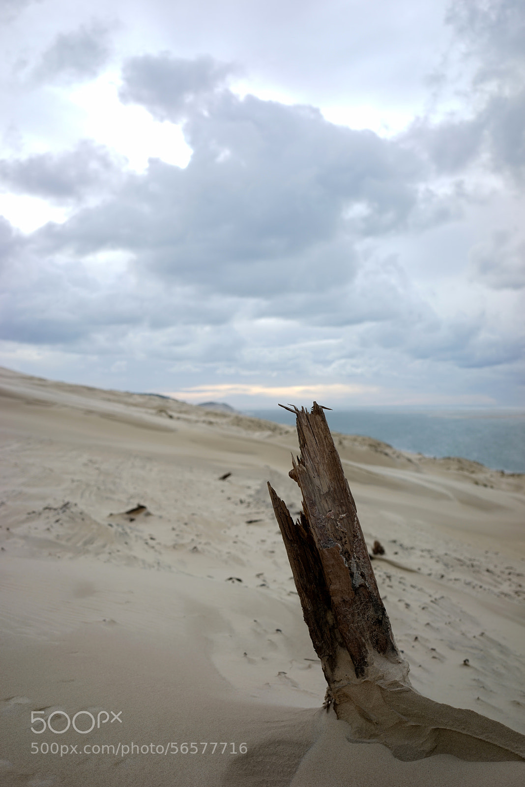Sony a7R sample photo. Dune du pilat photography