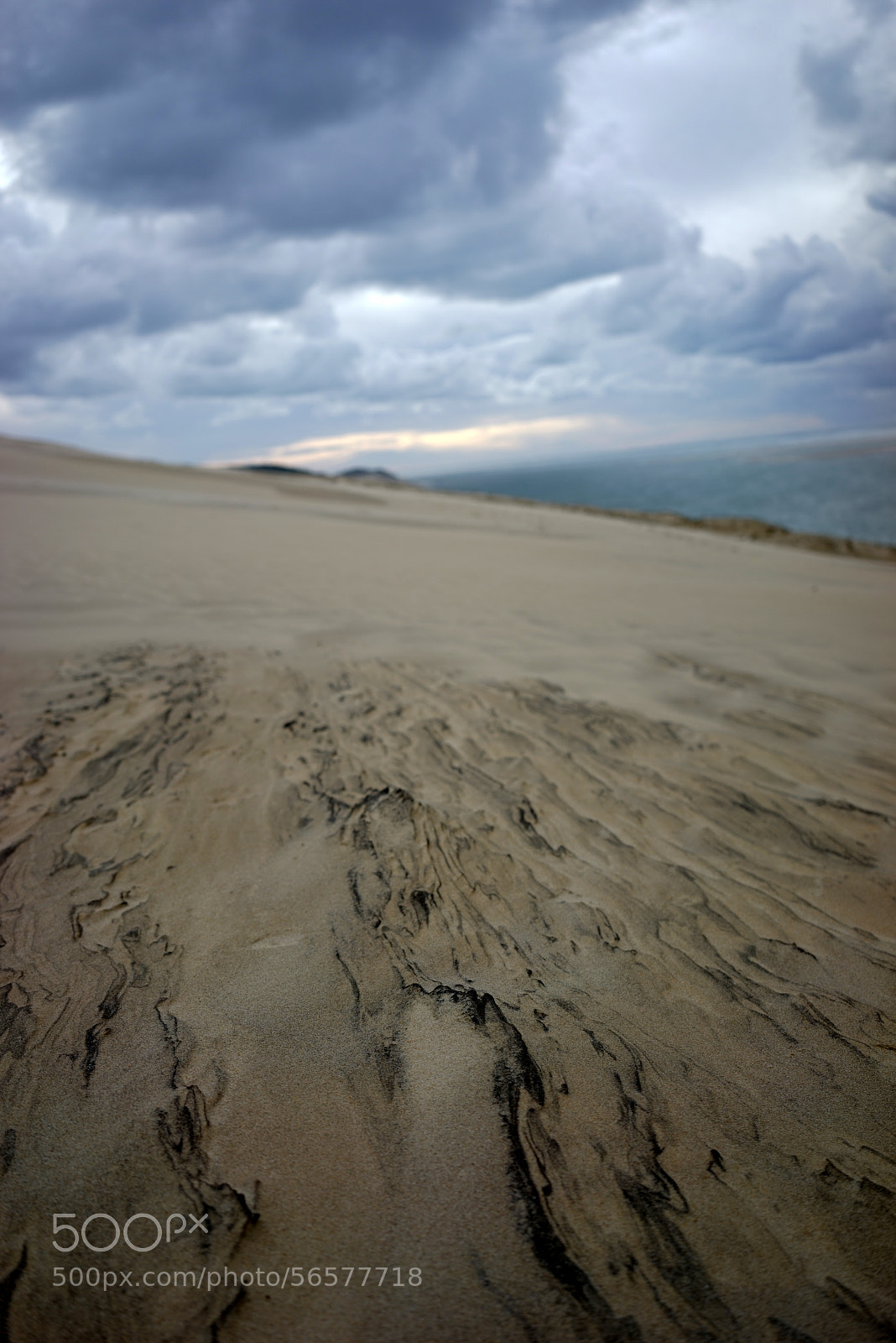 Sony a7R sample photo. Dune du pilat photography