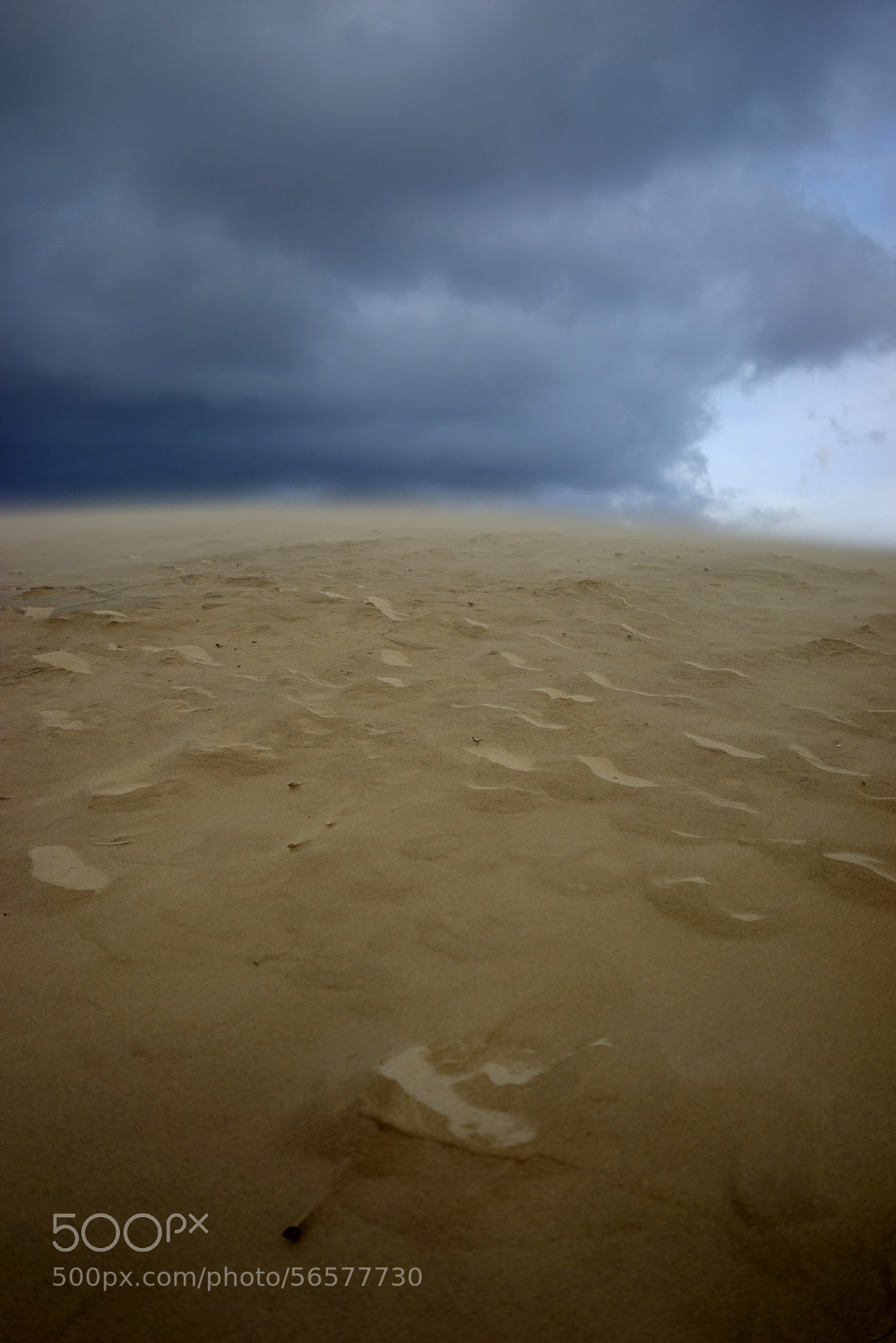 Sony a7R sample photo. Dune du pilat photography