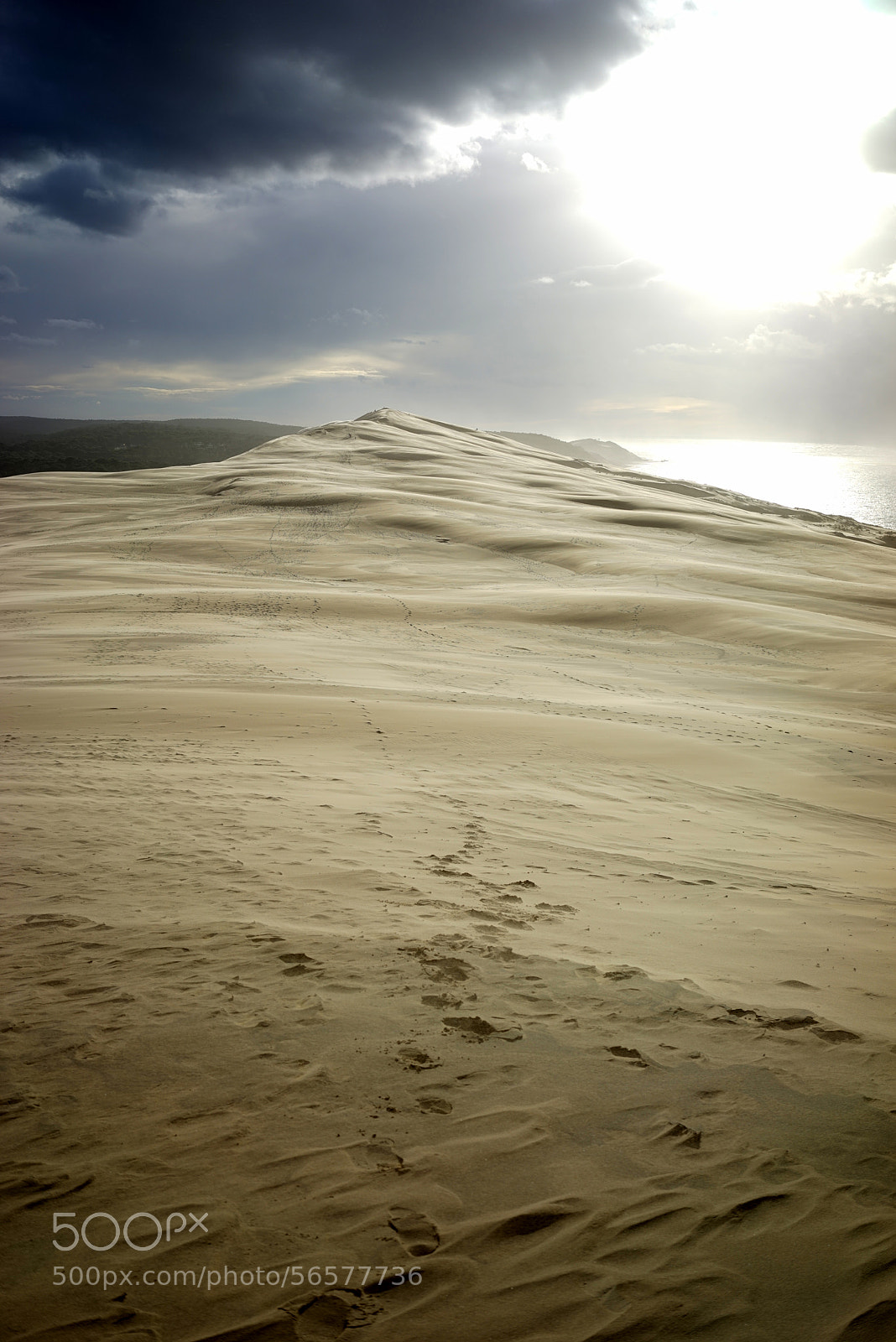 Sony a7R sample photo. Dune du pilat photography