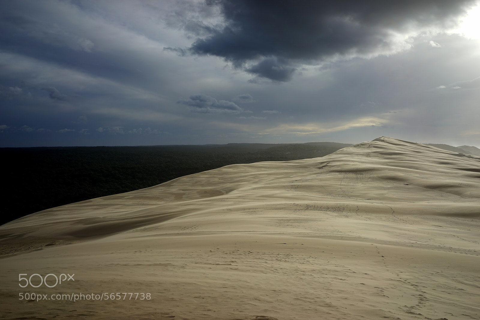 Sony a7R sample photo. Dune du pilat photography