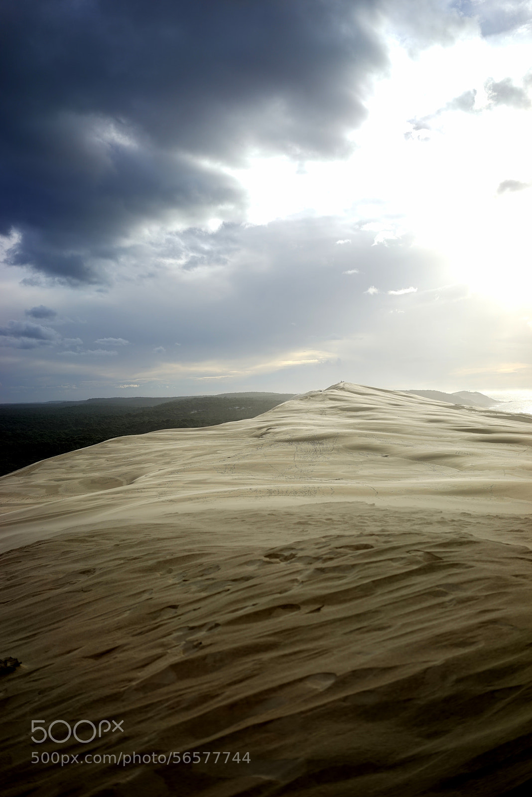 Sony a7R sample photo. Dune du pilat photography