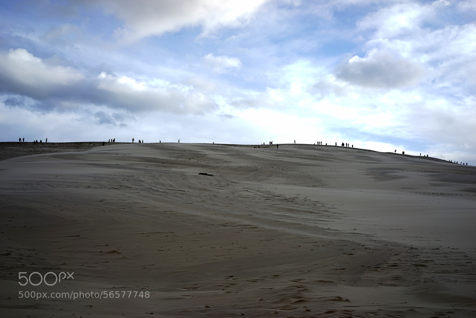 Sony a7R sample photo. Dune du pilat photography