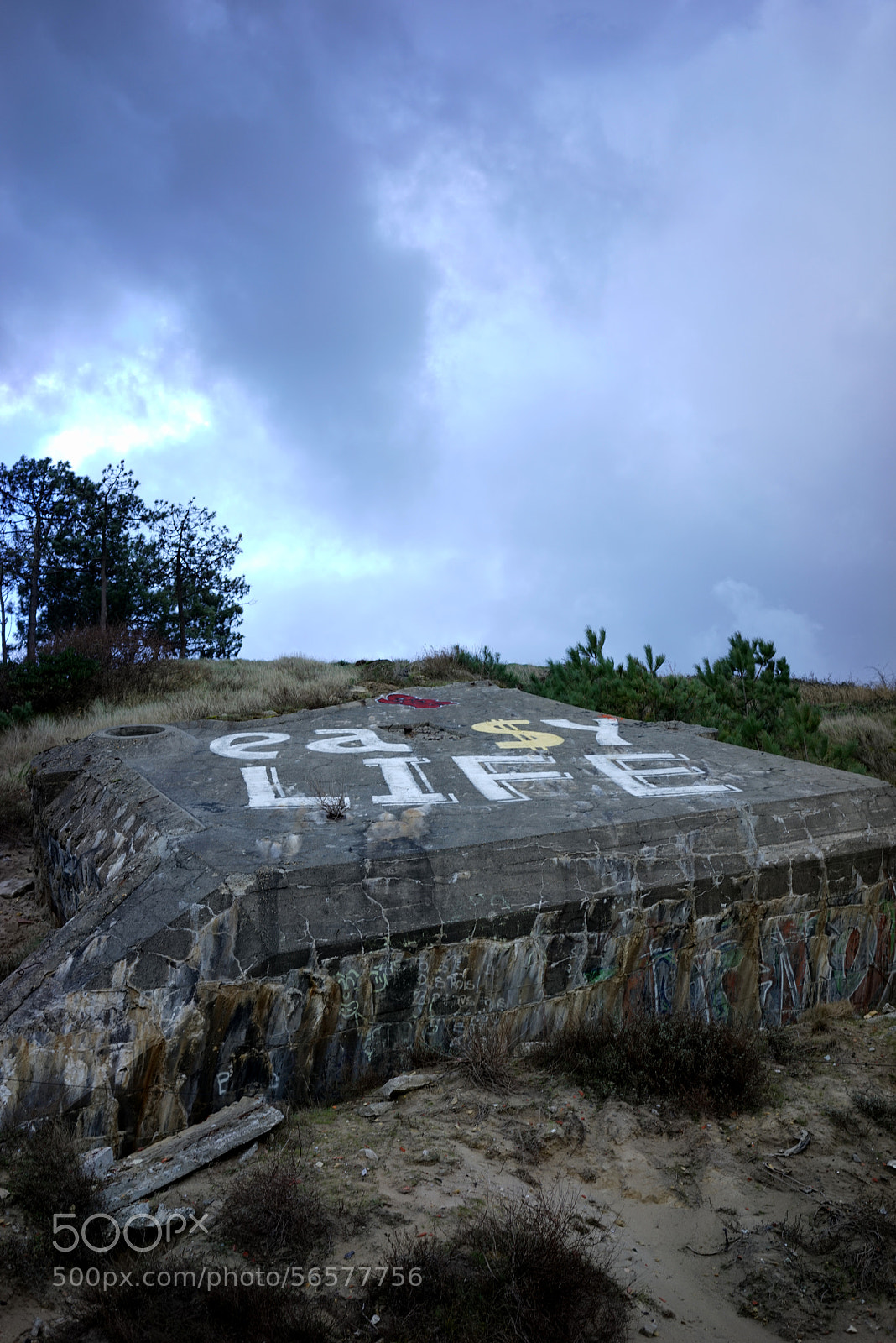 Sony a7R sample photo. Dune du pilat photography