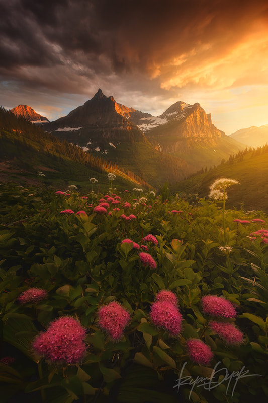 As it Fades by Ryan Dyar on 500px.com