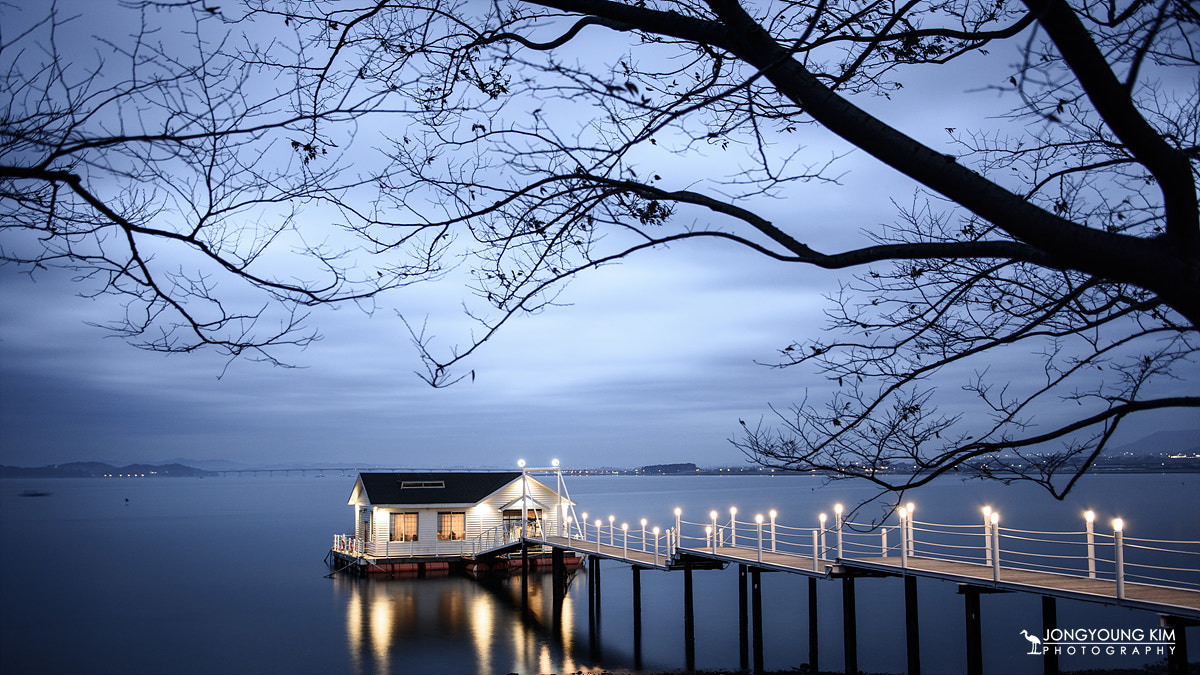 a seaside cafe