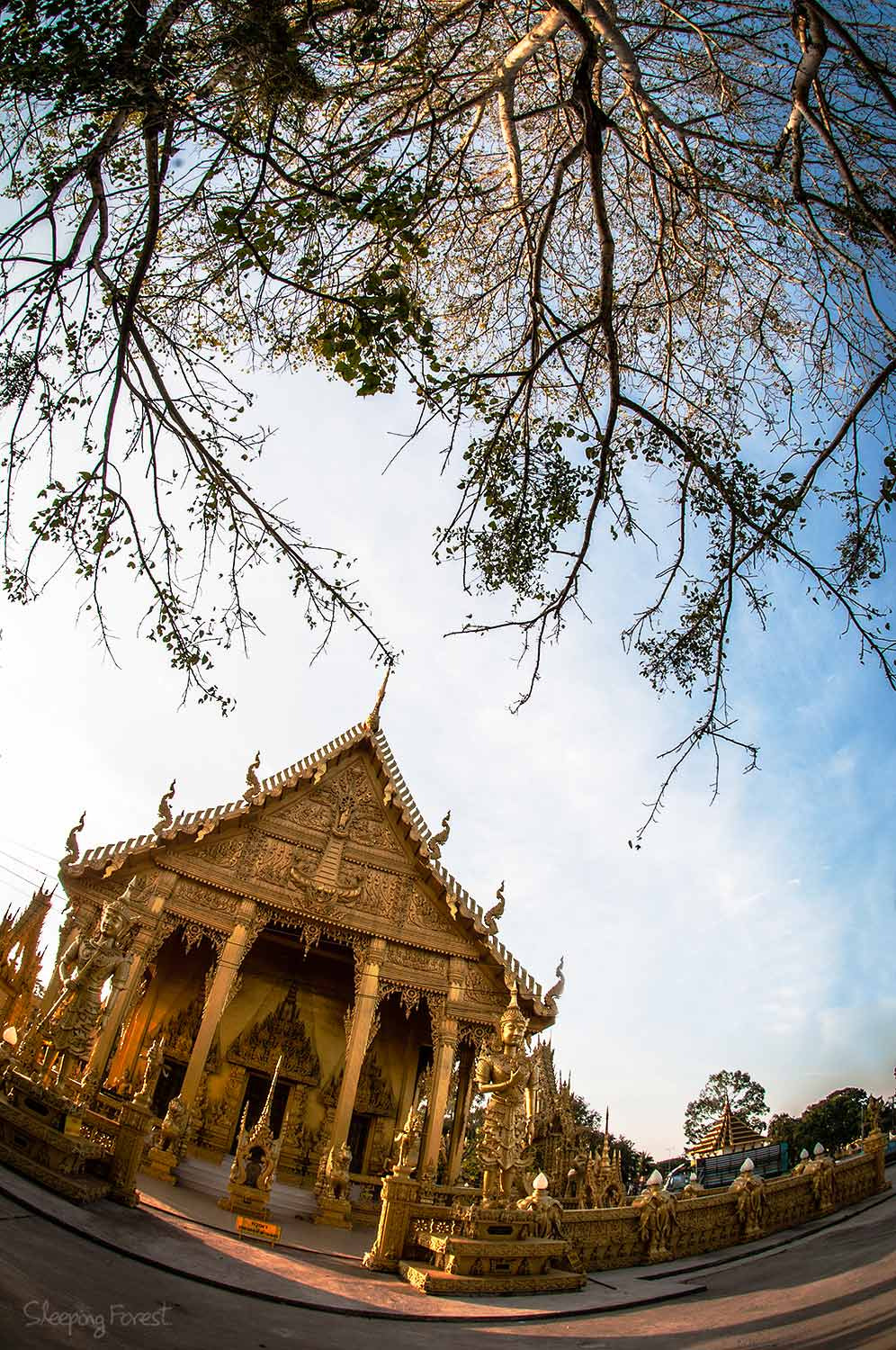 Nikon AF DX Fisheye-Nikkor 10.5mm F2.8G ED sample photo. Temple photography