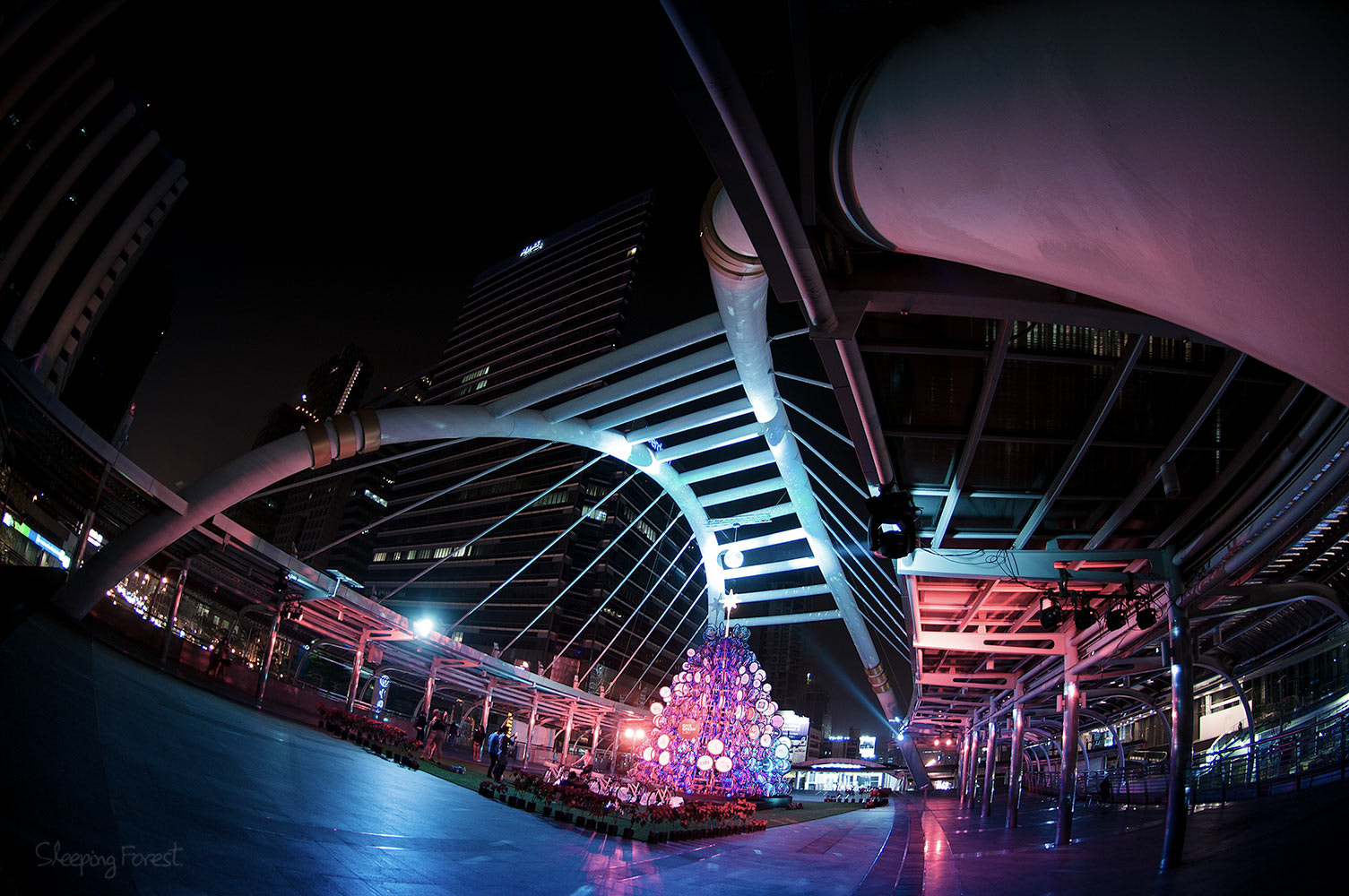 Nikon AF DX Fisheye-Nikkor 10.5mm F2.8G ED sample photo. Bangkok photography