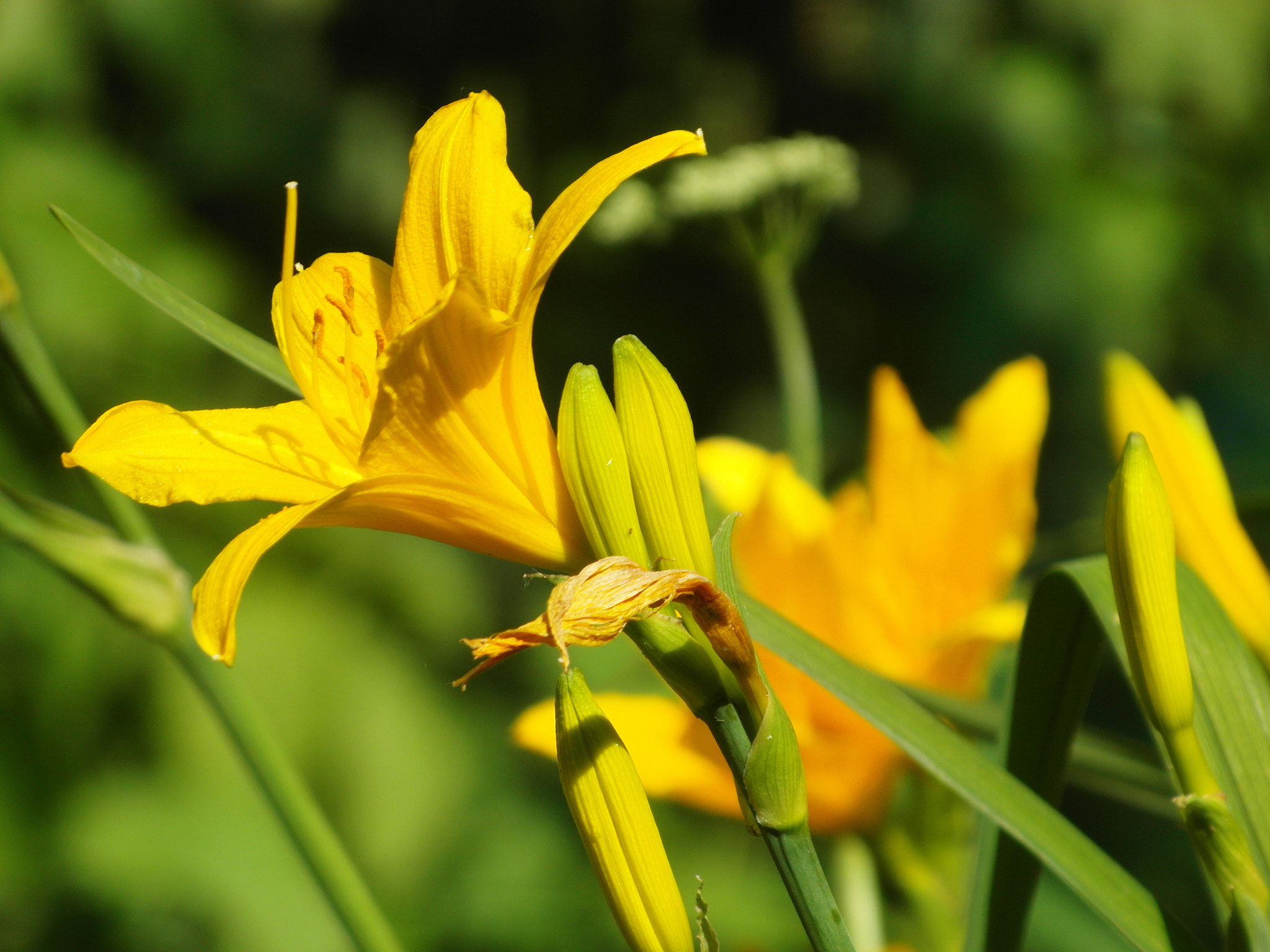 v2?sig=32c1d8bf1e660c3bd525adad3f0d5938a269f868566783c7142a18572575c038