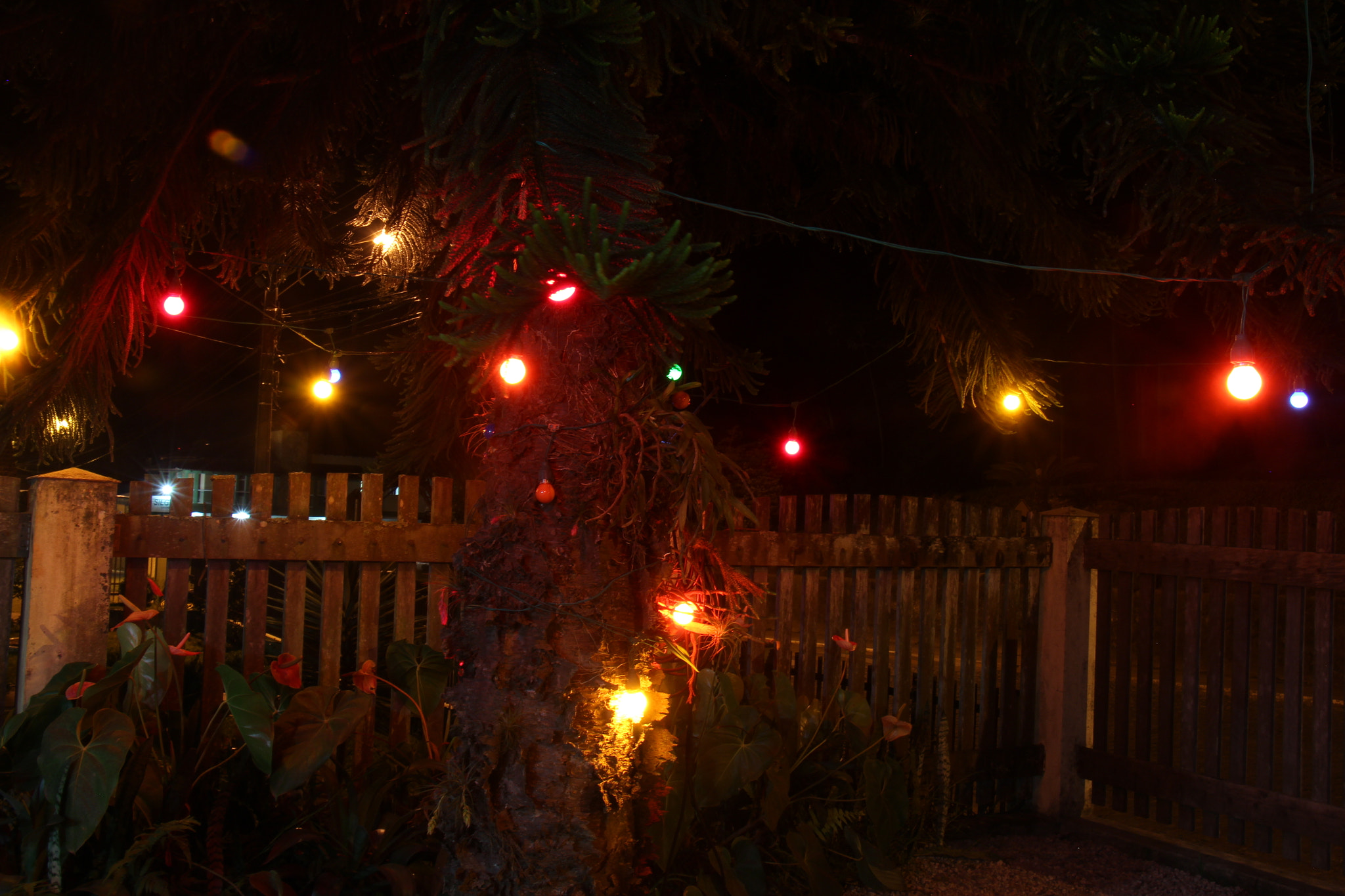 Canon EOS 650D (EOS Rebel T4i / EOS Kiss X6i) sample photo. Lights photography