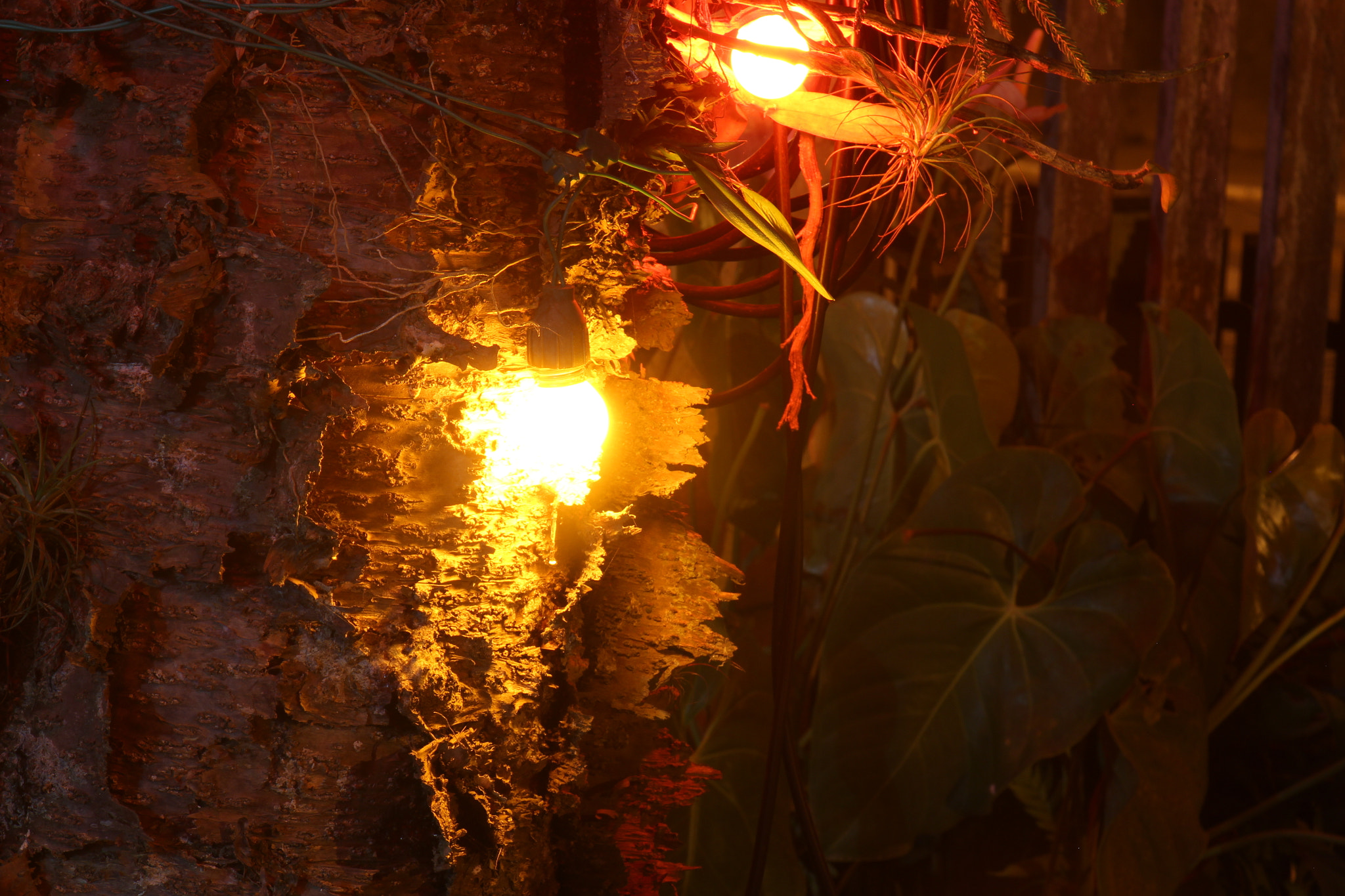 Canon EOS 650D (EOS Rebel T4i / EOS Kiss X6i) sample photo. Lights photography