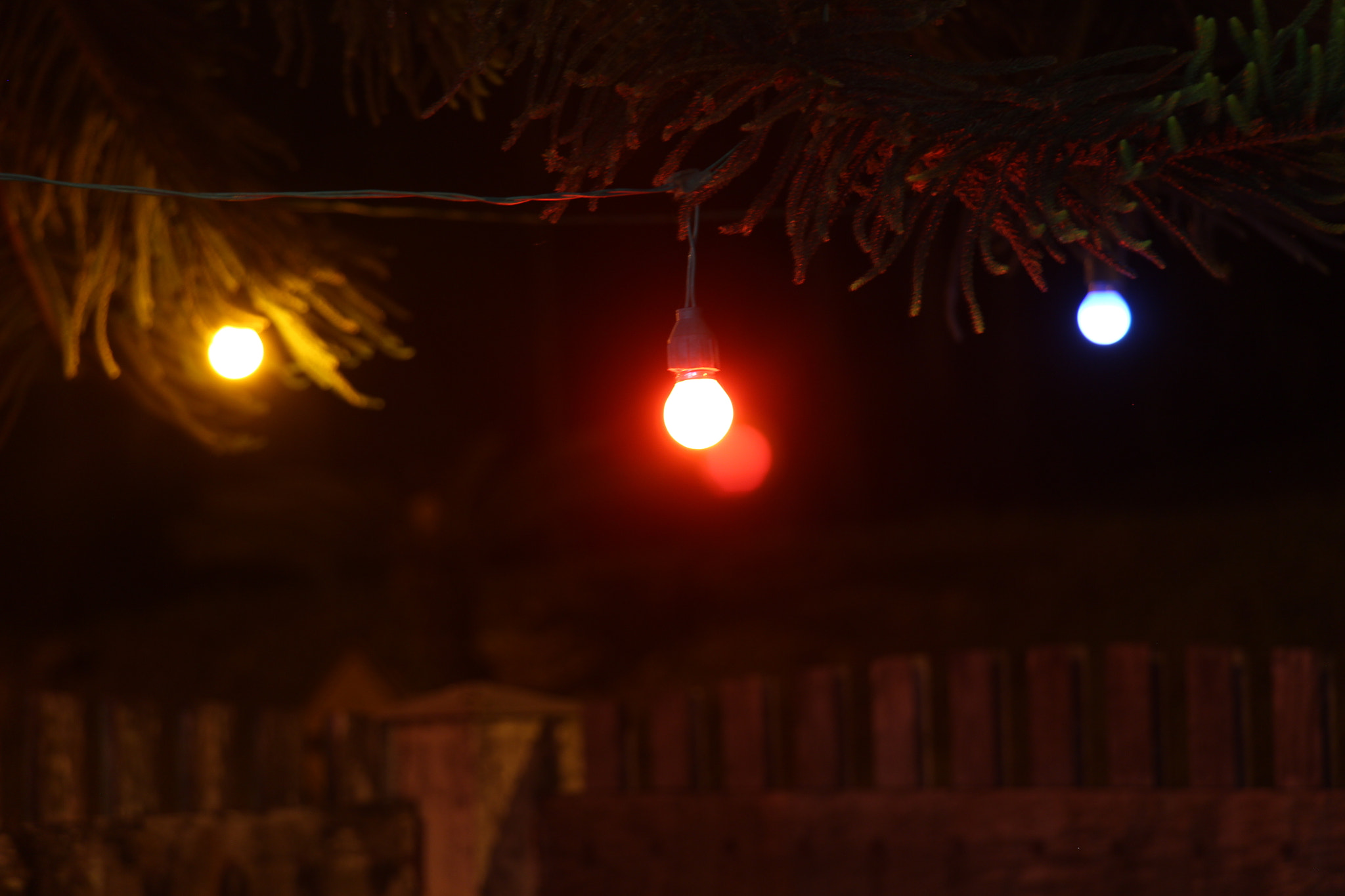 Canon EOS 650D (EOS Rebel T4i / EOS Kiss X6i) sample photo. Red photography