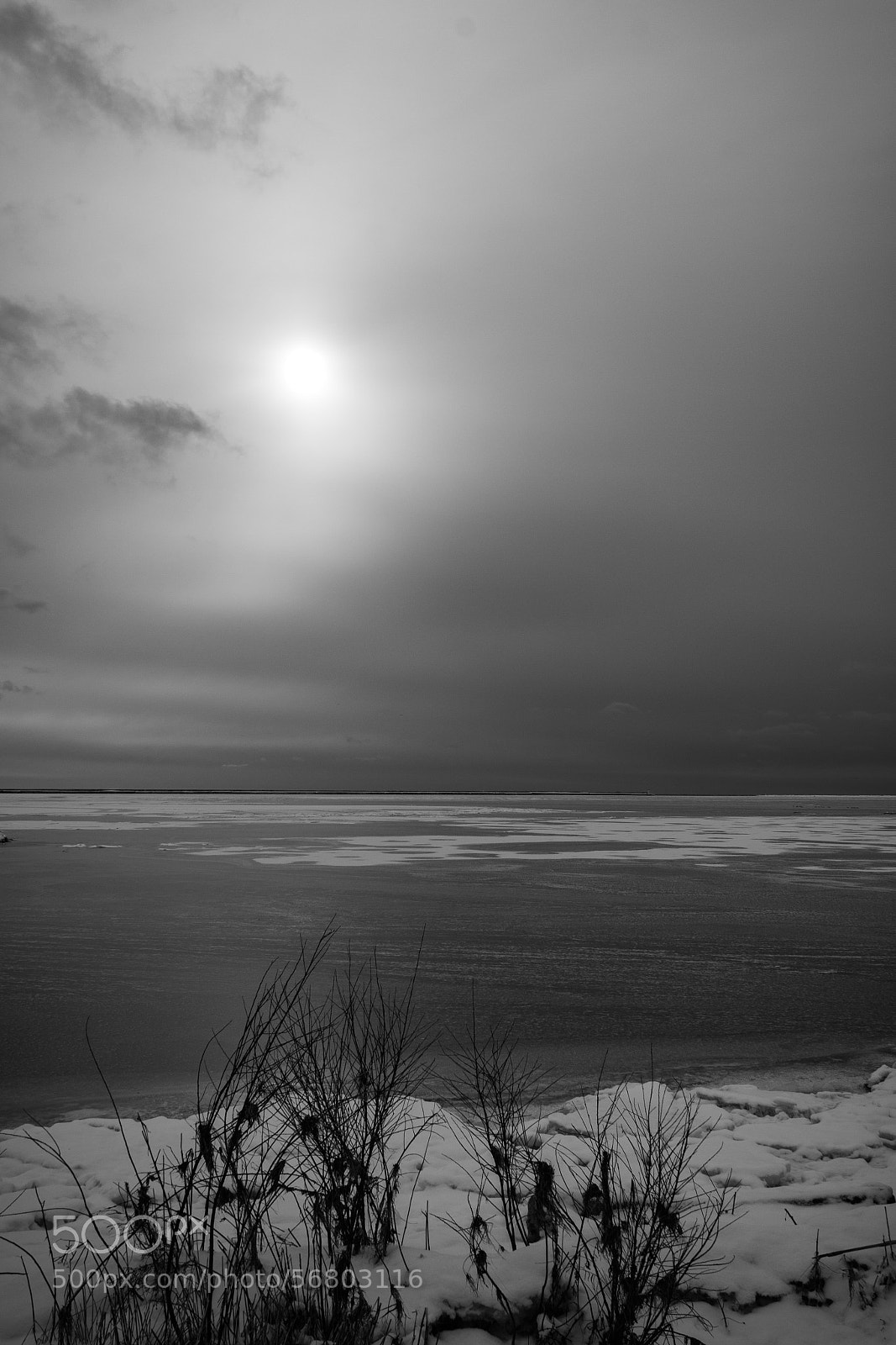Canon EOS 550D (EOS Rebel T2i / EOS Kiss X4) sample photo. Waiting for winter's end photography