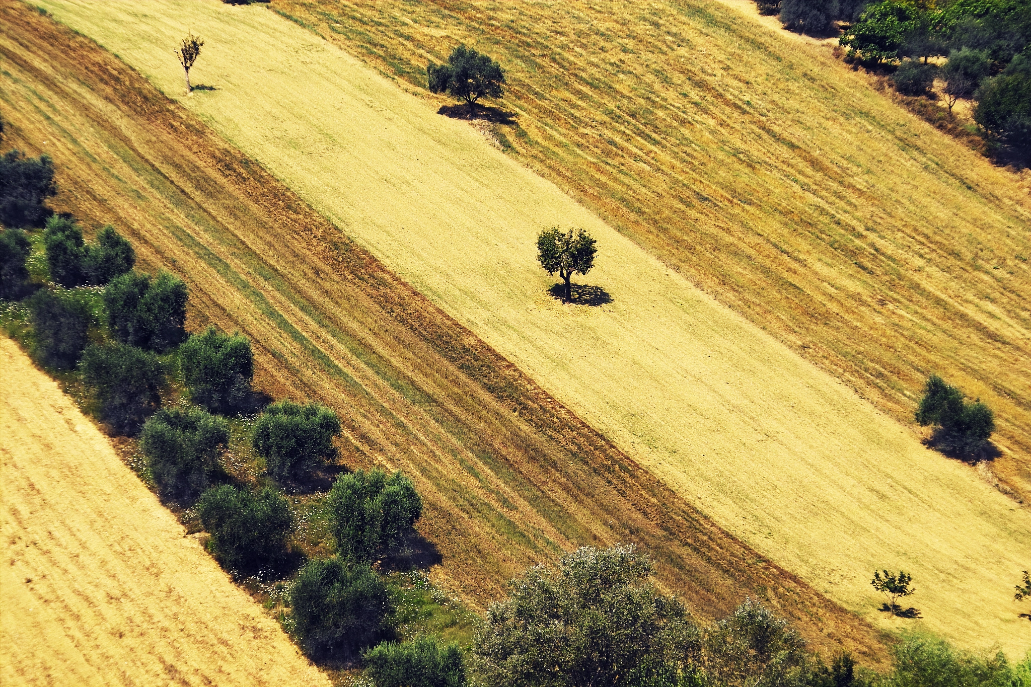 Sigma SD10 sample photo. Marche, colline nell'ascolano photography