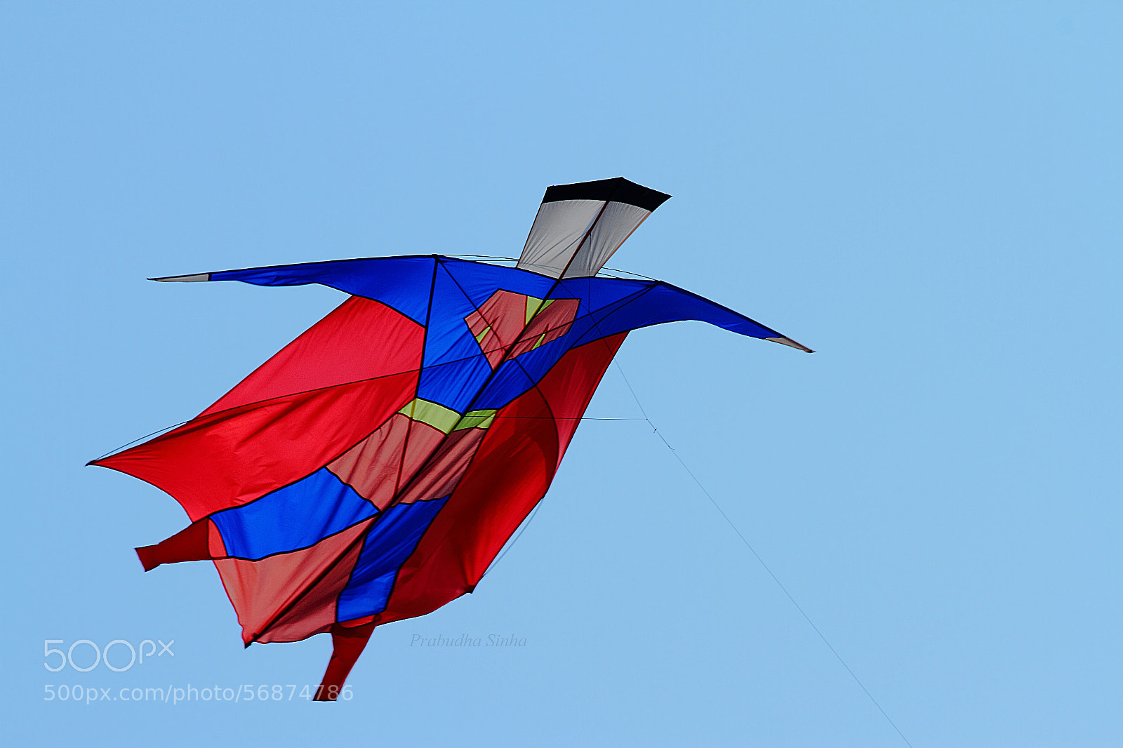 Canon EOS 7D sample photo. Untitled photography
