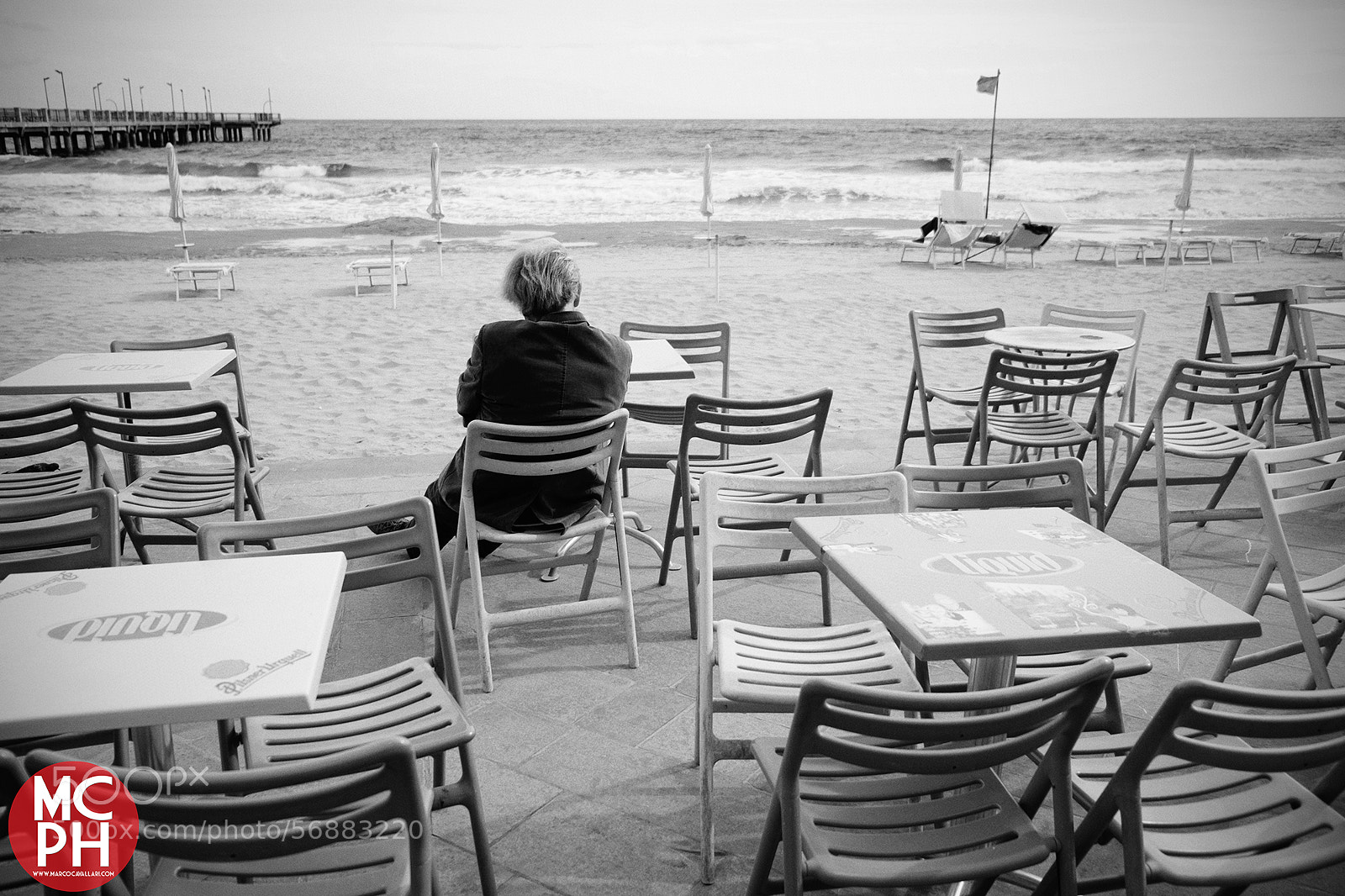 Fujifilm X-E1 sample photo. Listening to the wind photography