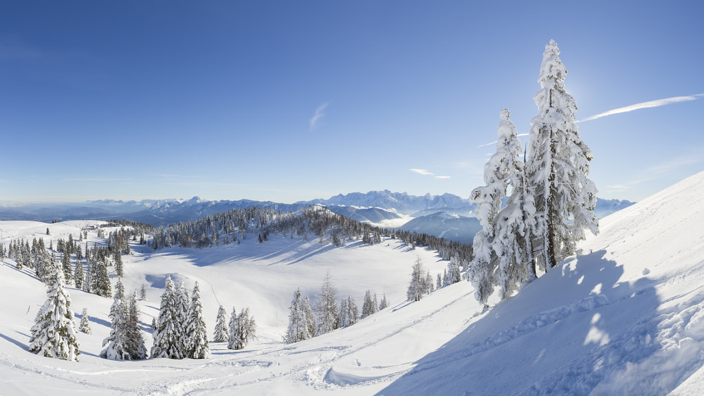 who can find the heart? by Reinhold Samonigg on 500px.com