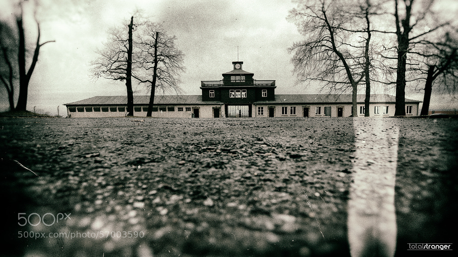 Nikon D800 sample photo. Buchenwald photography