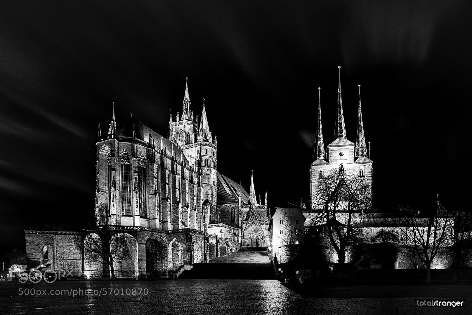 Nikon D800 sample photo. Erfurt (b&w version) photography