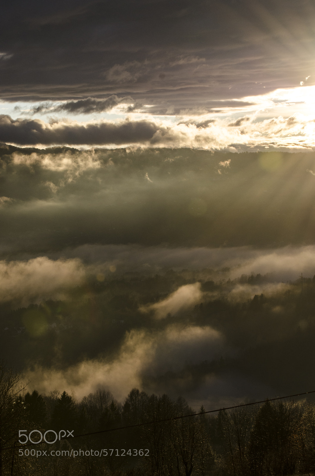 Nikon D7000 sample photo. Foggy day photography