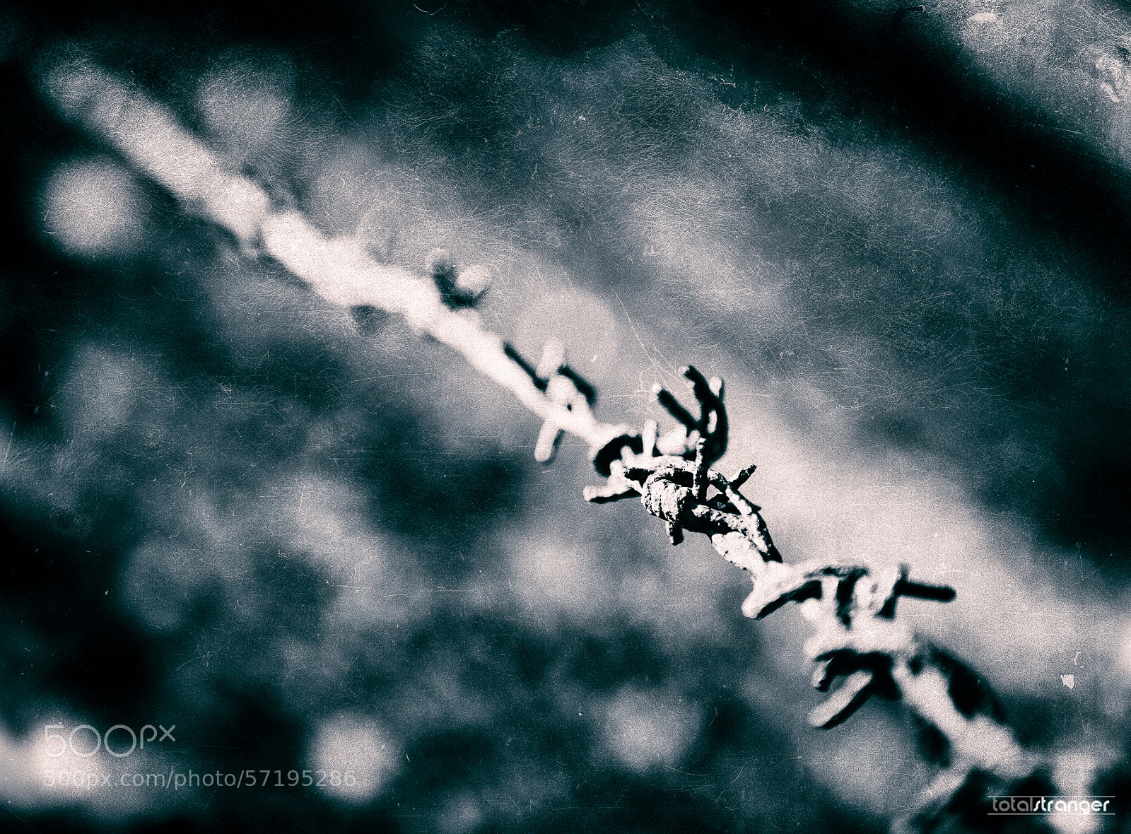 Nikon D800 sample photo. Buchenwald ii photography