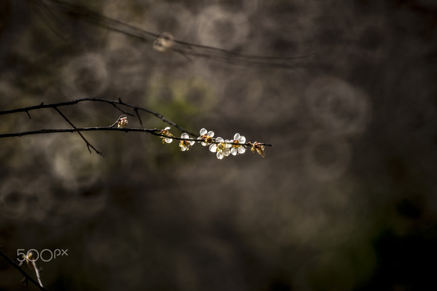 背景幕photos 500px