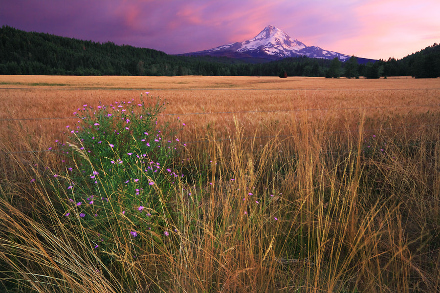 Above the Fruited Plain by Tula Top / 500px