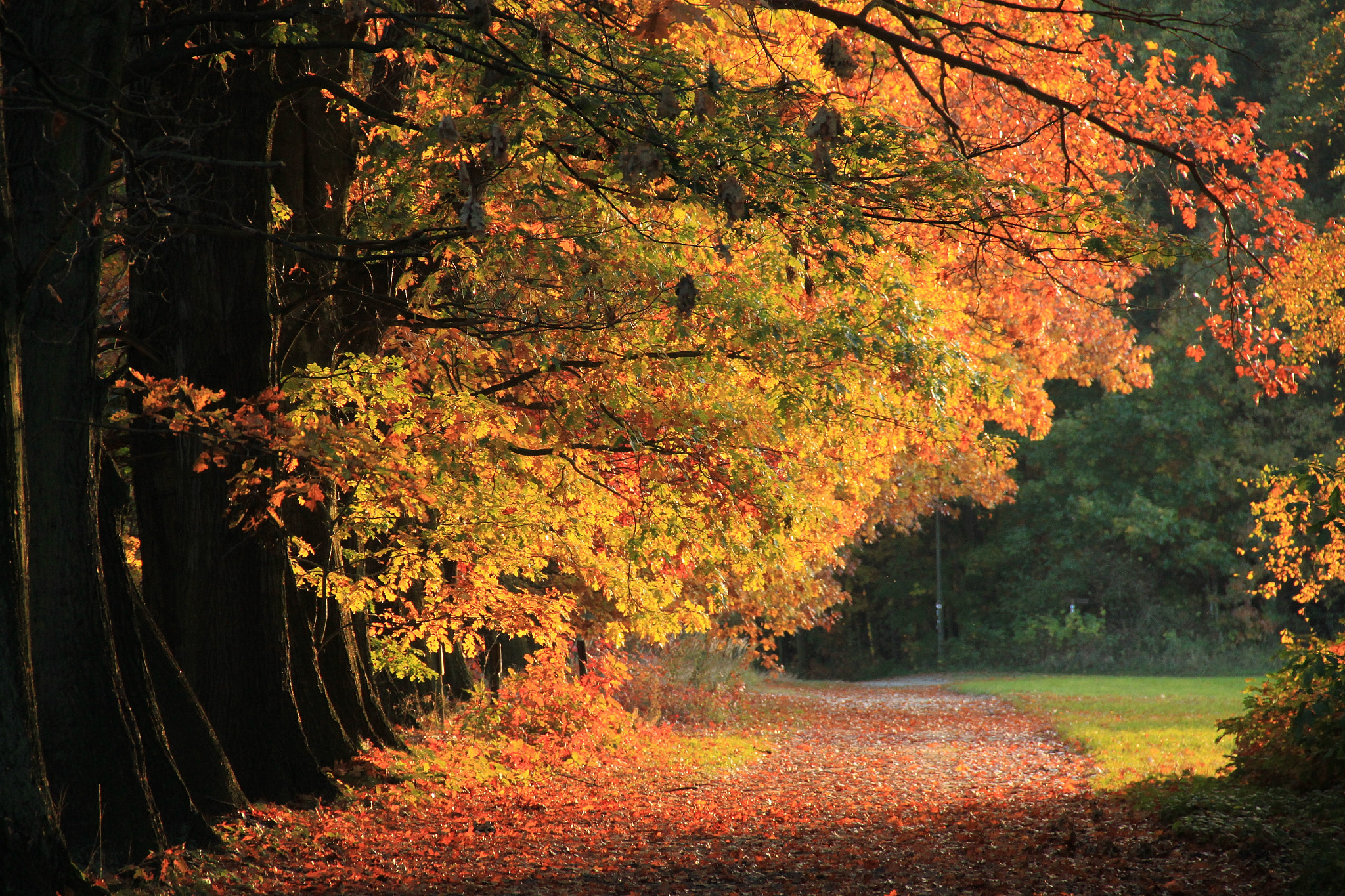 Herbstfarben