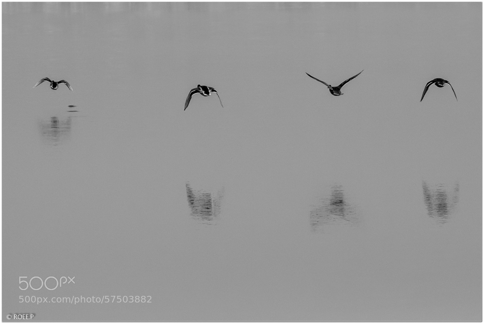 Canon EOS 60D sample photo. Floating shadows photography