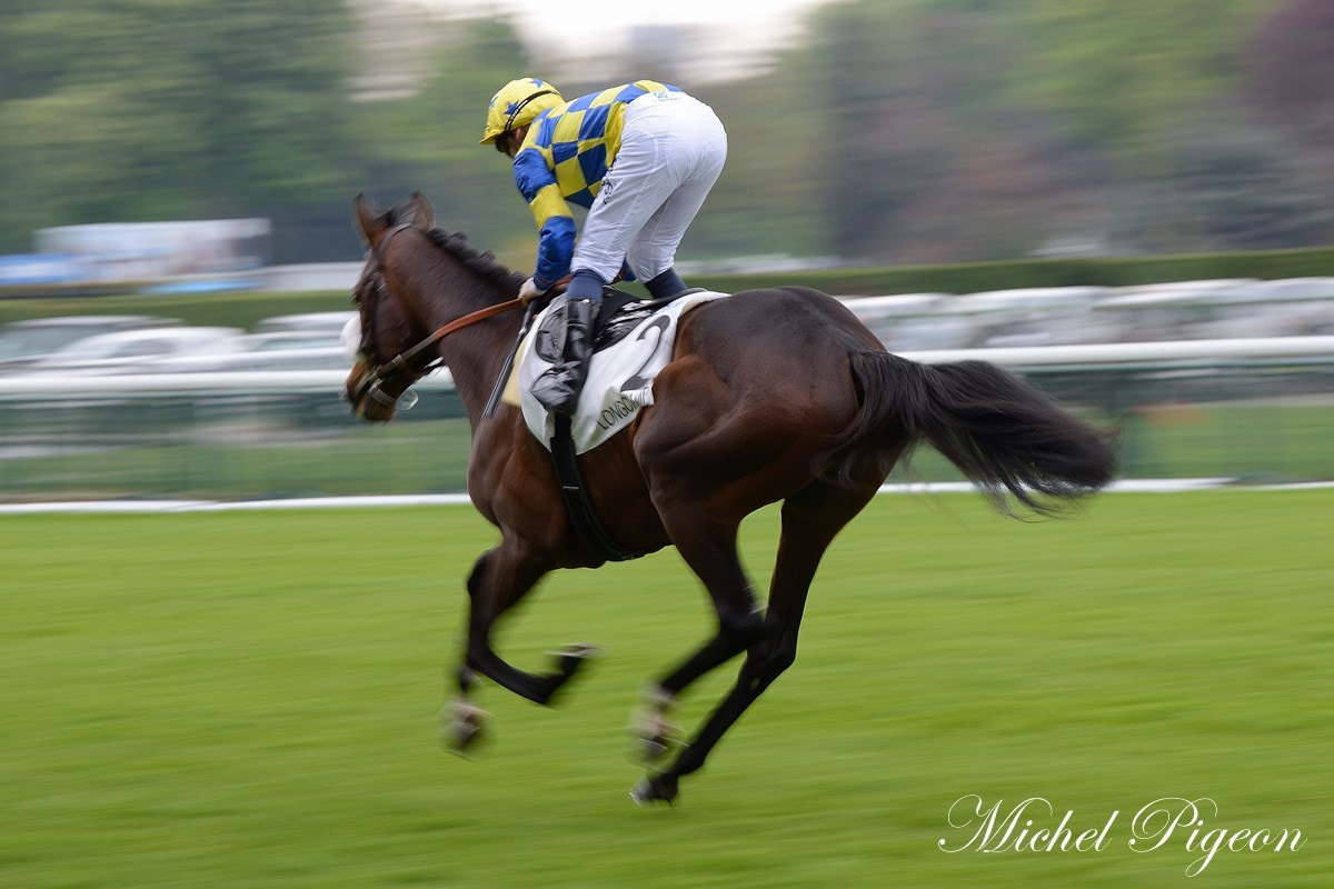 Nikon D600 sample photo. Courses à longchamp photography