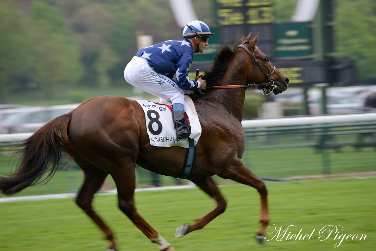 Nikon D600 + Tamron SP 70-300mm F4-5.6 Di VC USD sample photo. Horse race in longchamp, paris photography