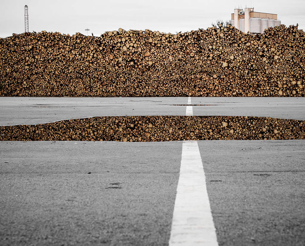 timberwall by florian schaller on 500px.com