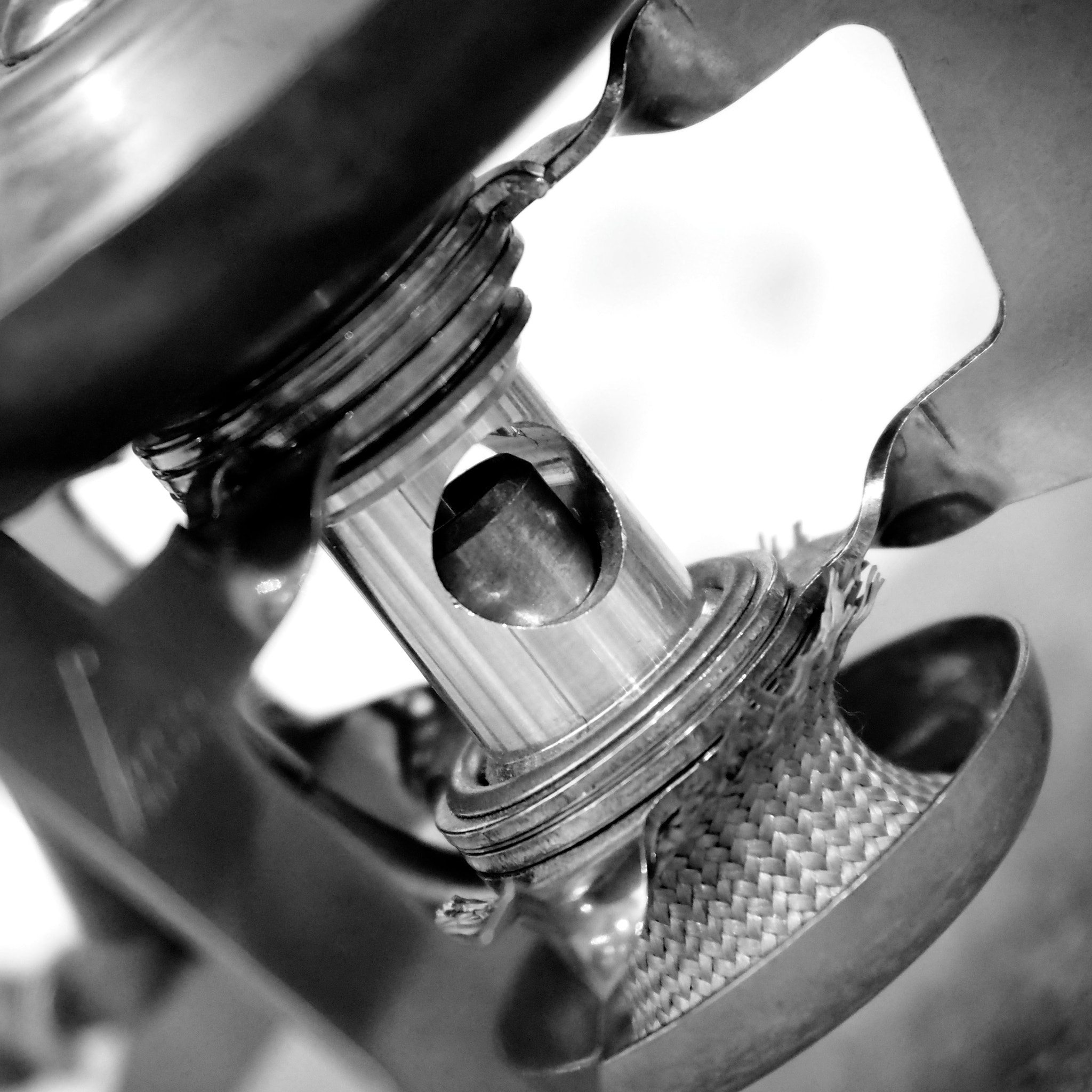 Olympus PEN E-PL5 sample photo. Whats that? photography