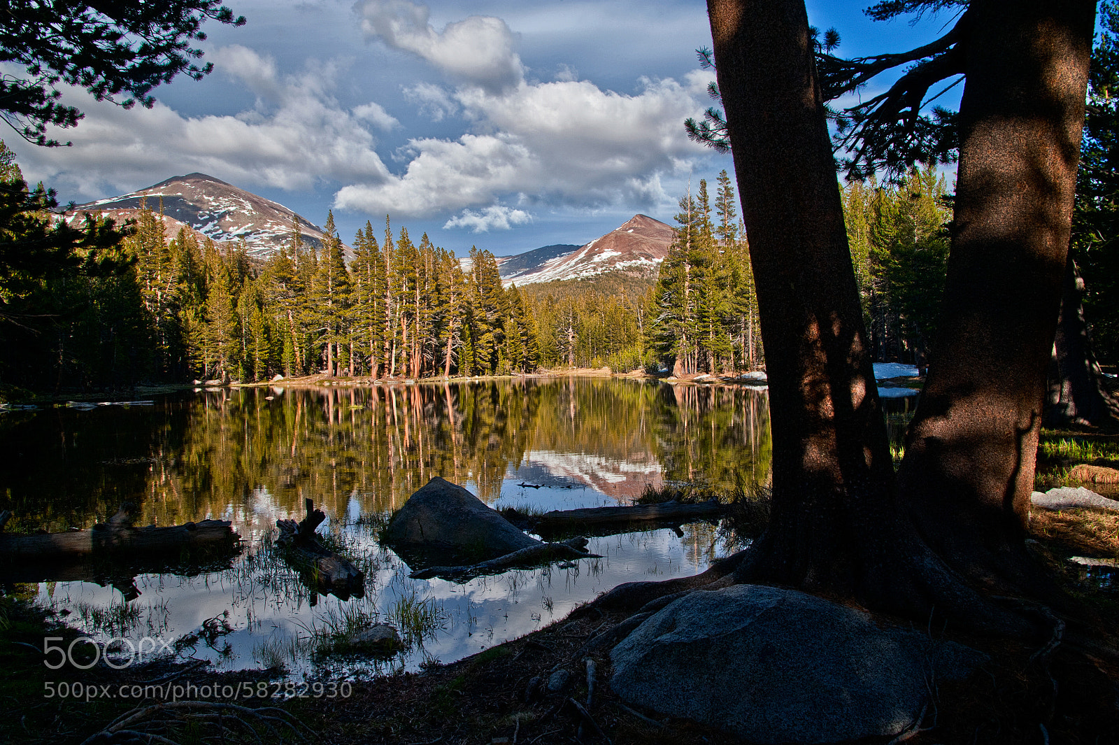 Nikon D700 sample photo. Yosemite reflecting pond photography