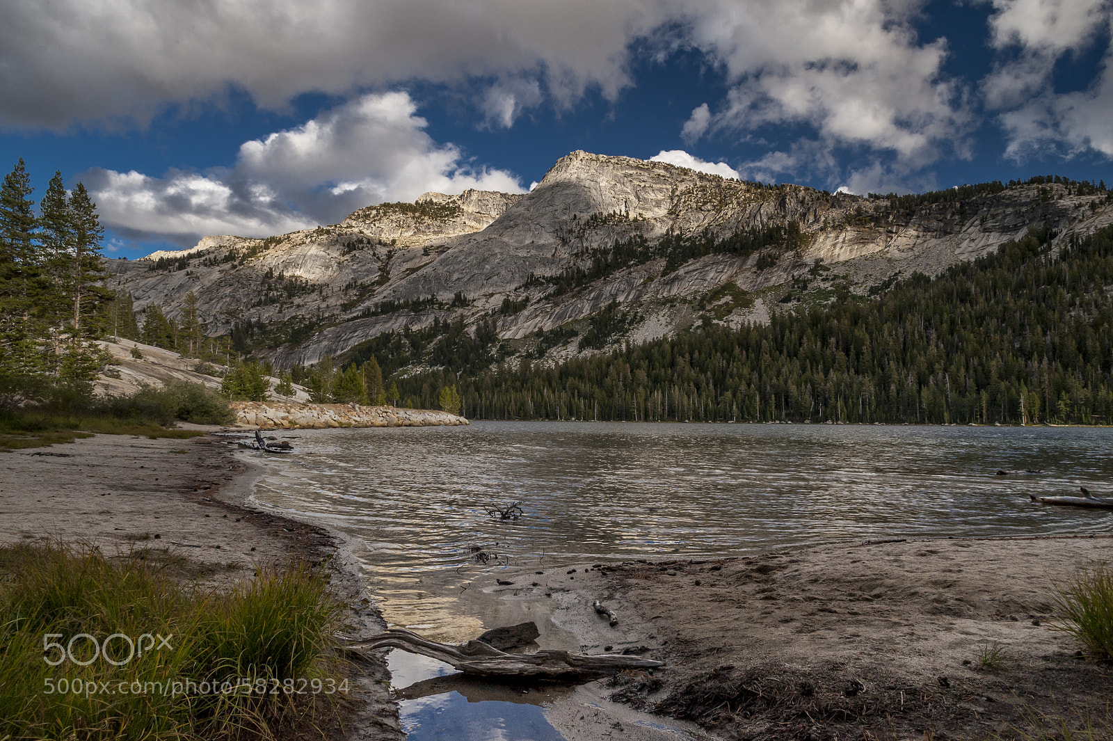 Nikon D700 sample photo. Tenaya lake photography