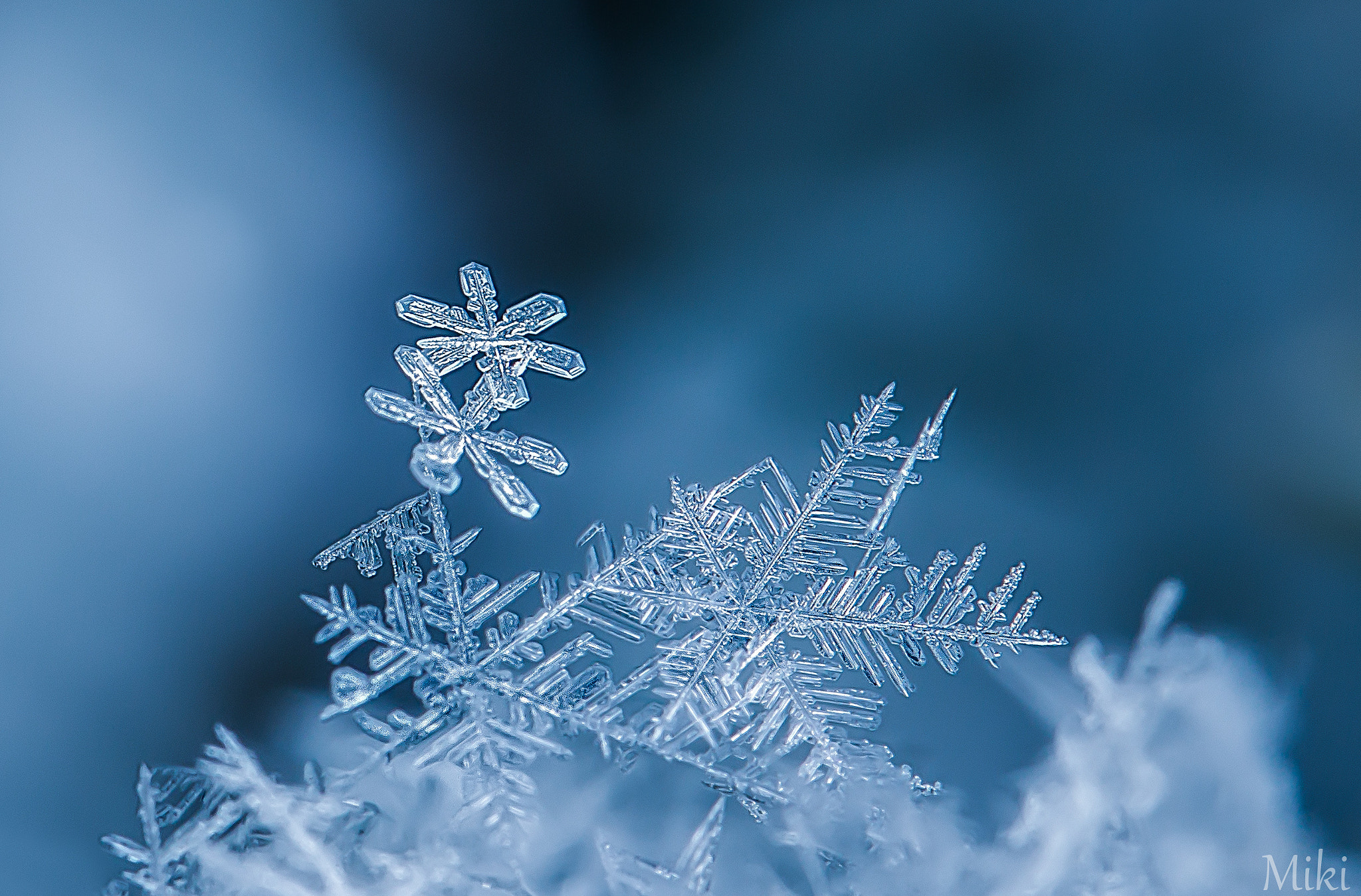 水滴curated By Norihito Kobayashi 500px