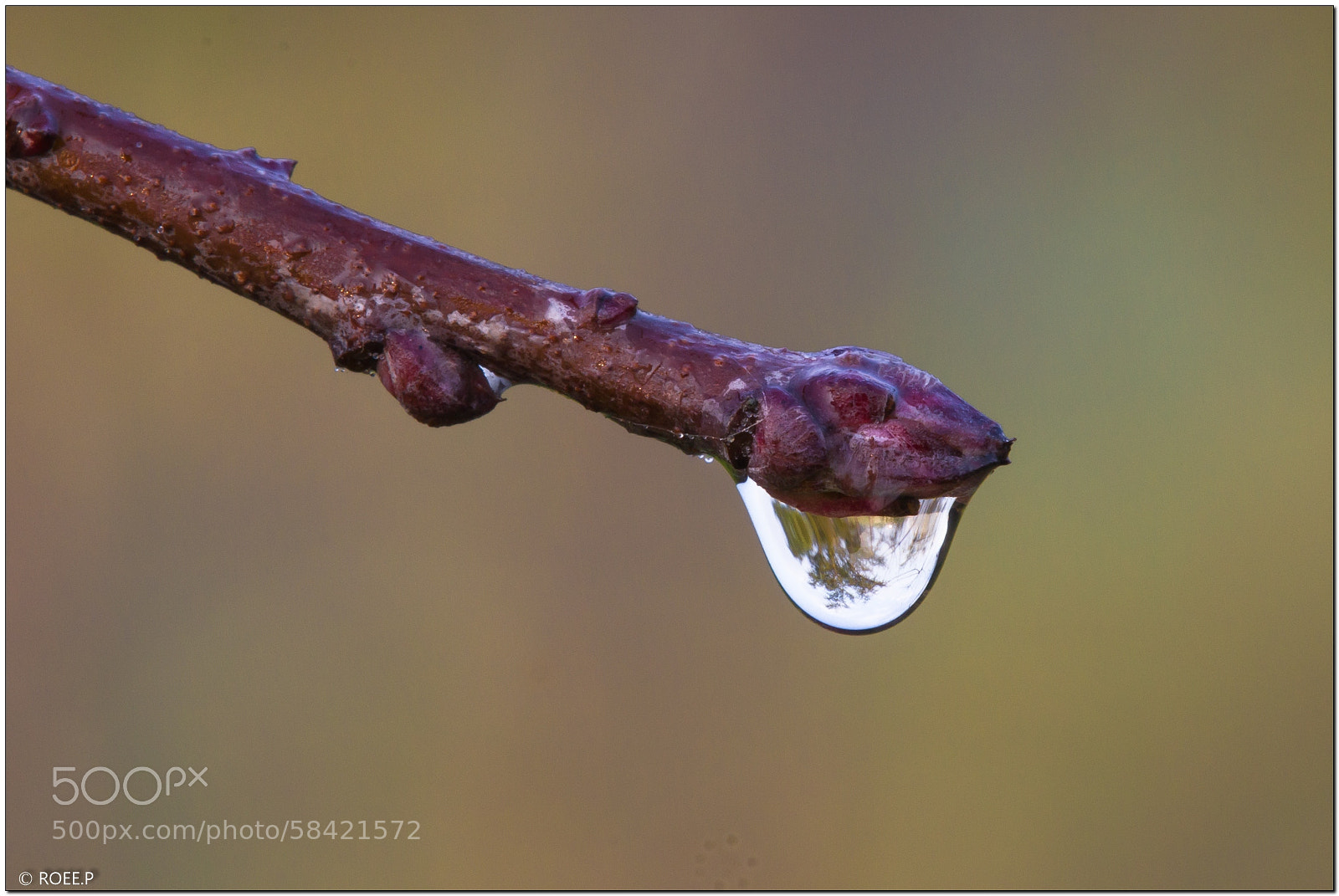 Canon EOS 60D sample photo. Drop photography