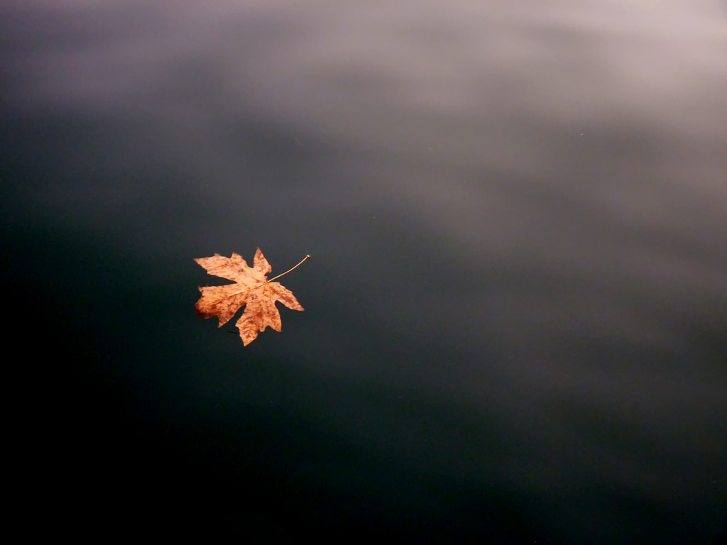 by Nick Kenrick on 500px.com