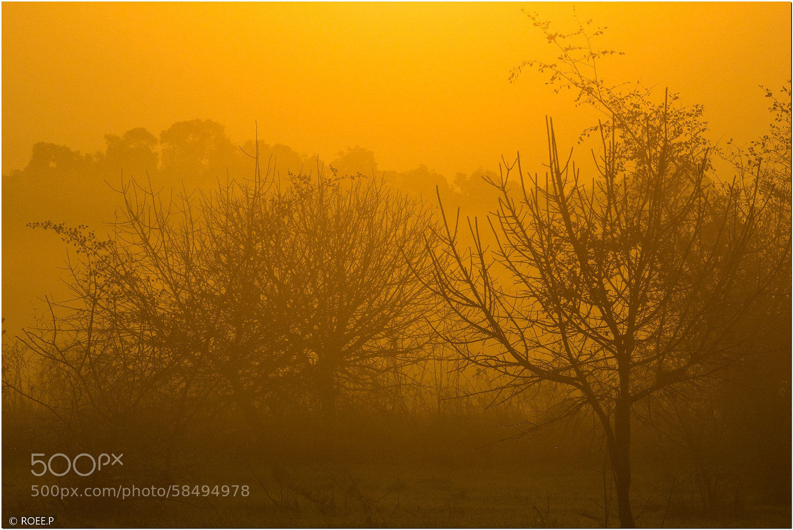Canon EOS 60D sample photo. Sunlight through mist photography