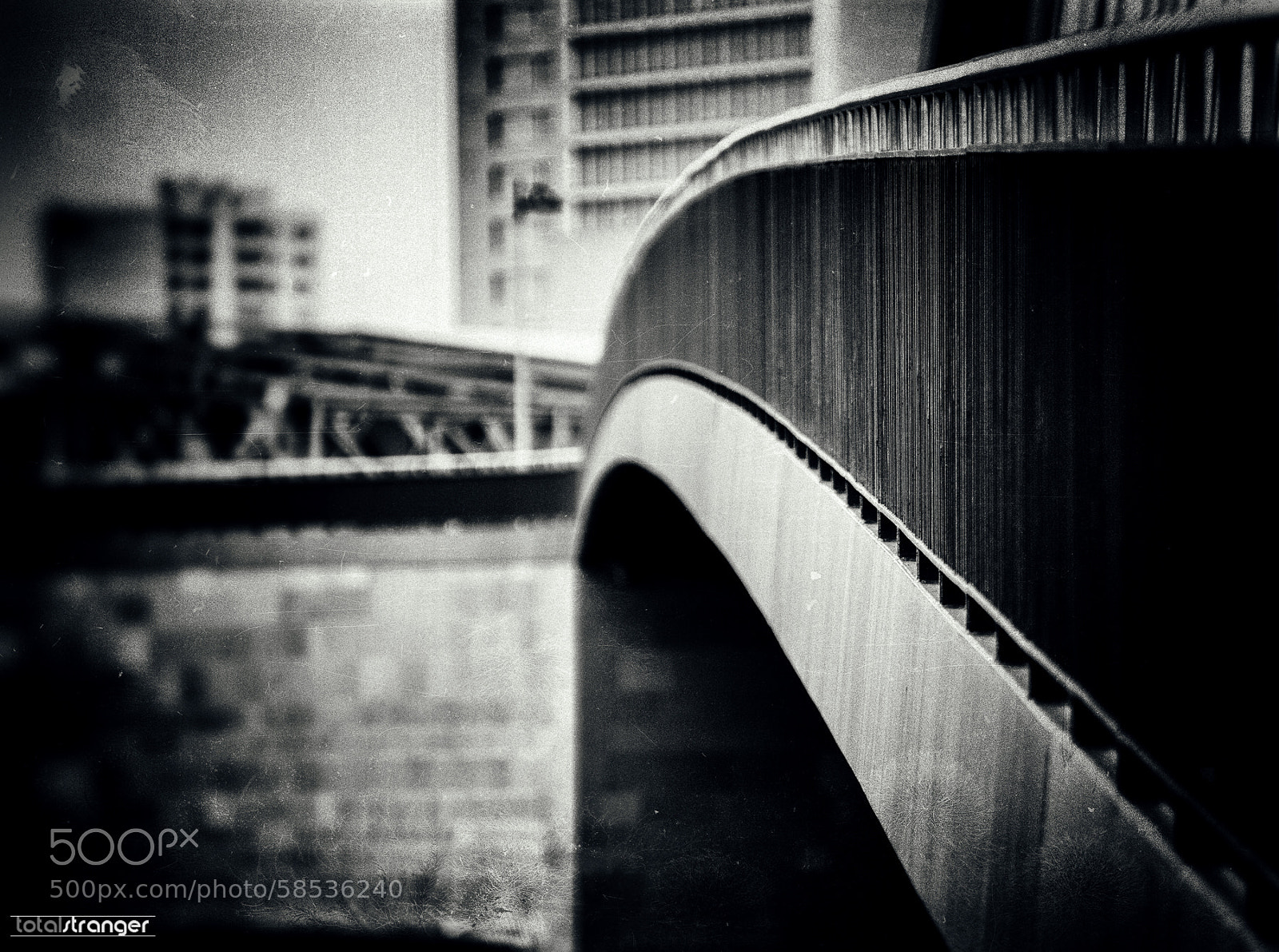 Nikon D800 sample photo. Bridge photography
