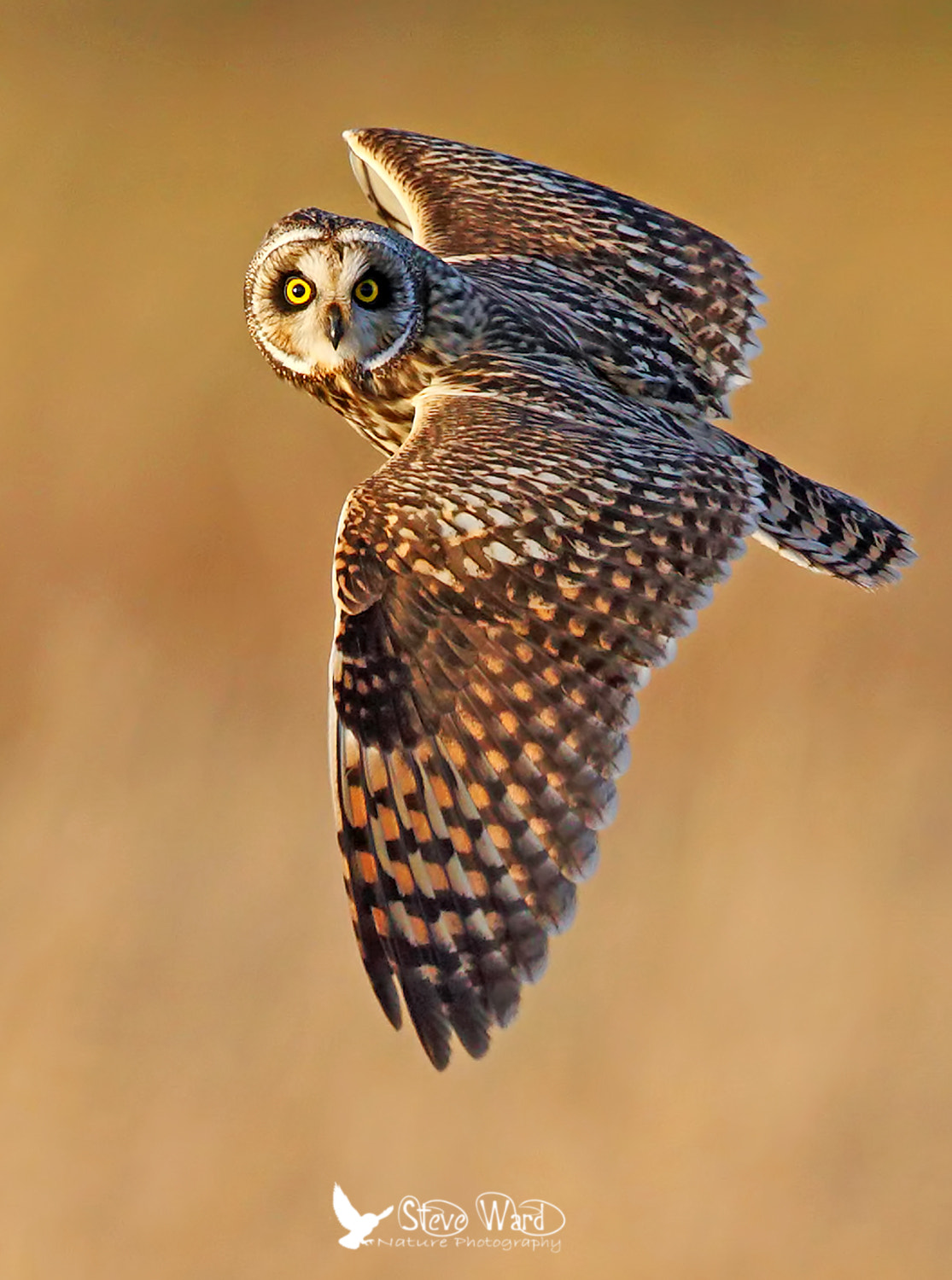 v2?sig=f73a0e9ba8f0c4c85ea3db0c0b29f860e147f8ec2a14af9df0c1ccb59d91e7b5