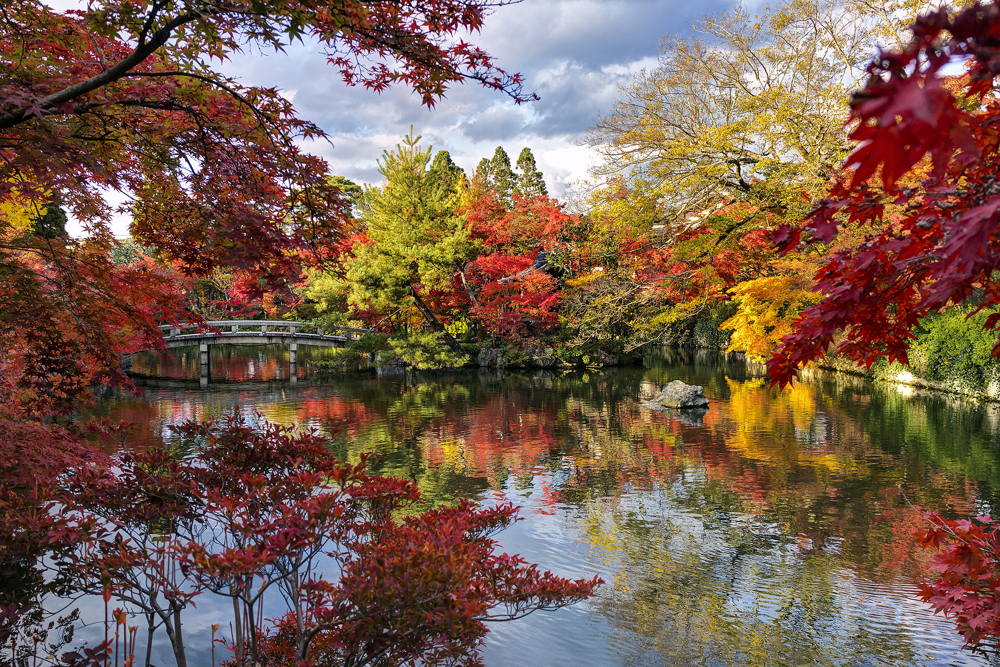 Just Colorful Fall ... by Chaluntorn Preeyasombat - Photo 58646078 / 500px