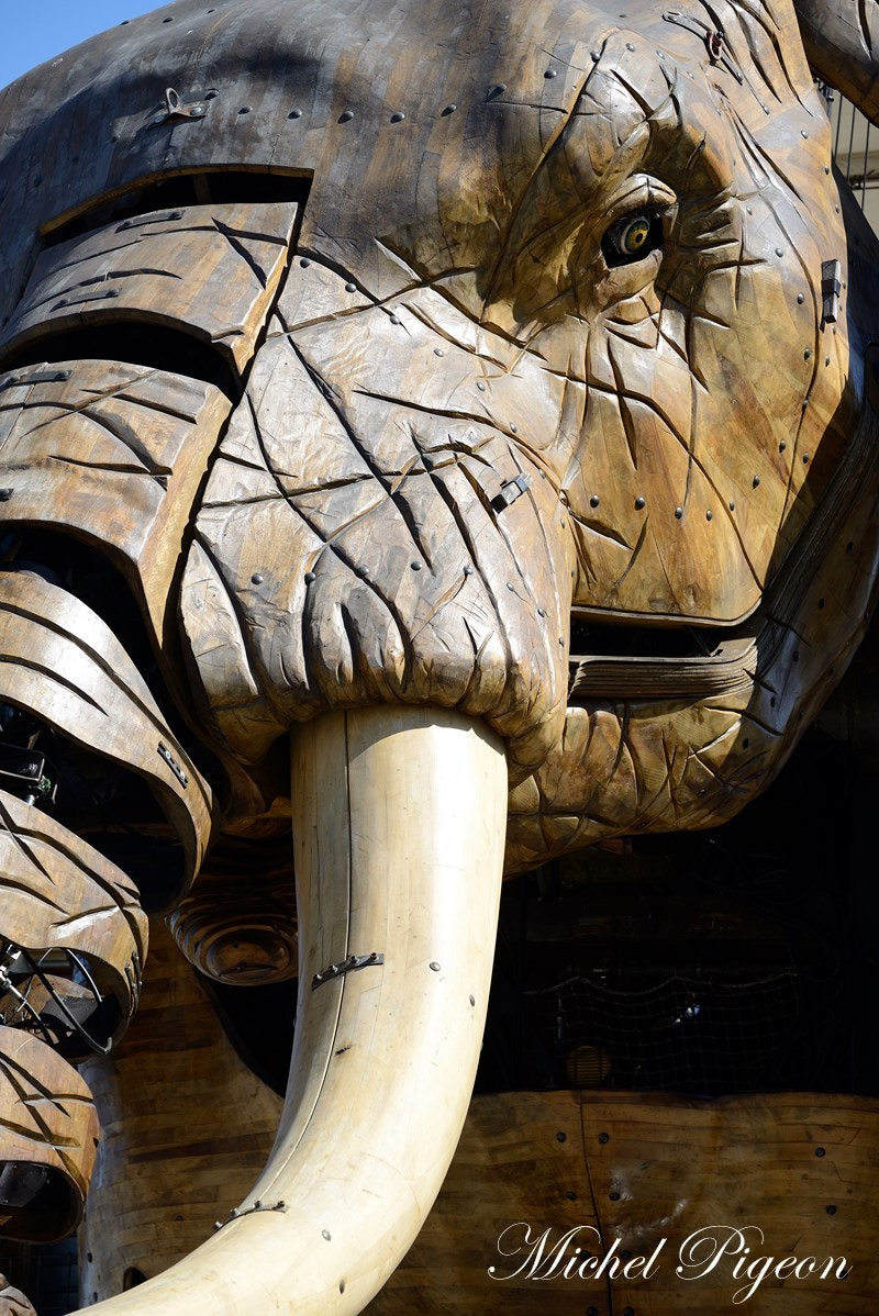Nikon D600 sample photo. L'éléphant de l'île de nantes, france photography