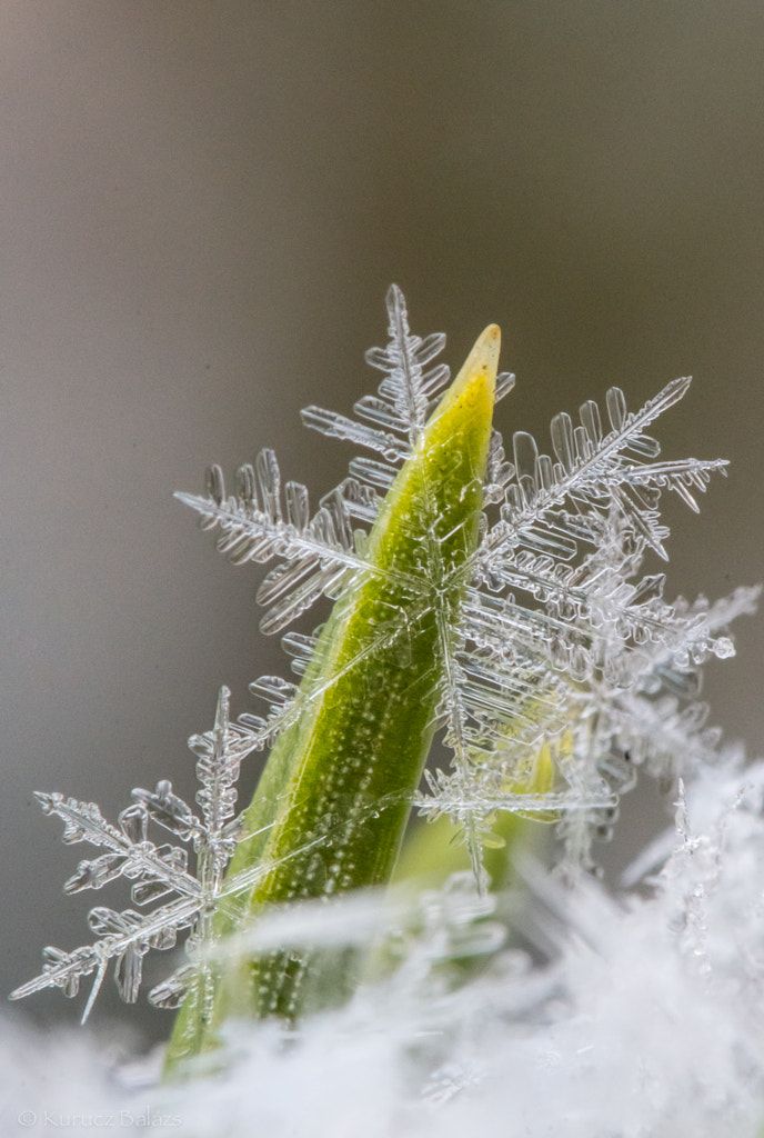 Hill climbing by Balazs Kurucz on 500px.com
