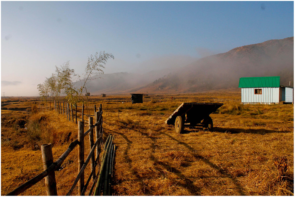 At Mawphlang, Shillong