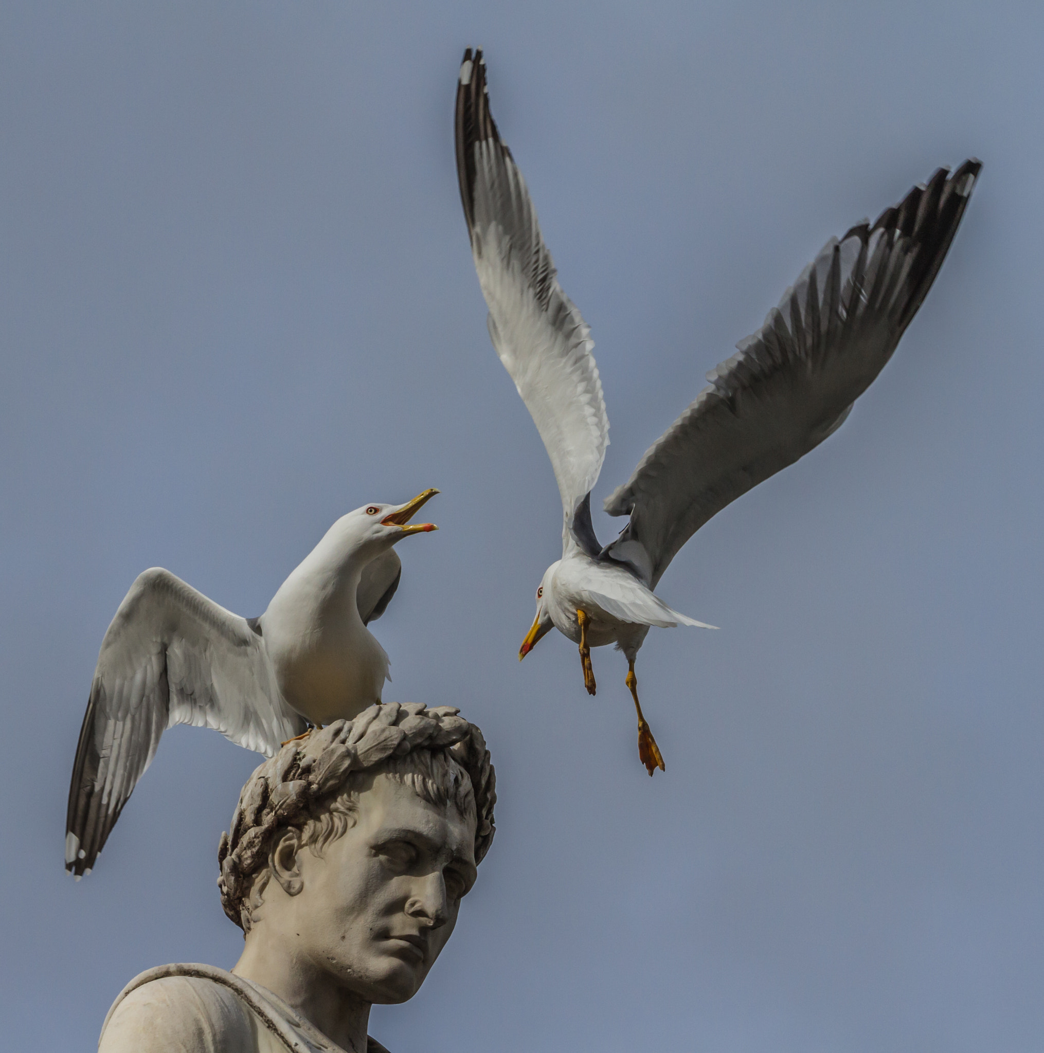 Canon EF 70-200mm F4L USM sample photo. Ajaccio (corsica) photography
