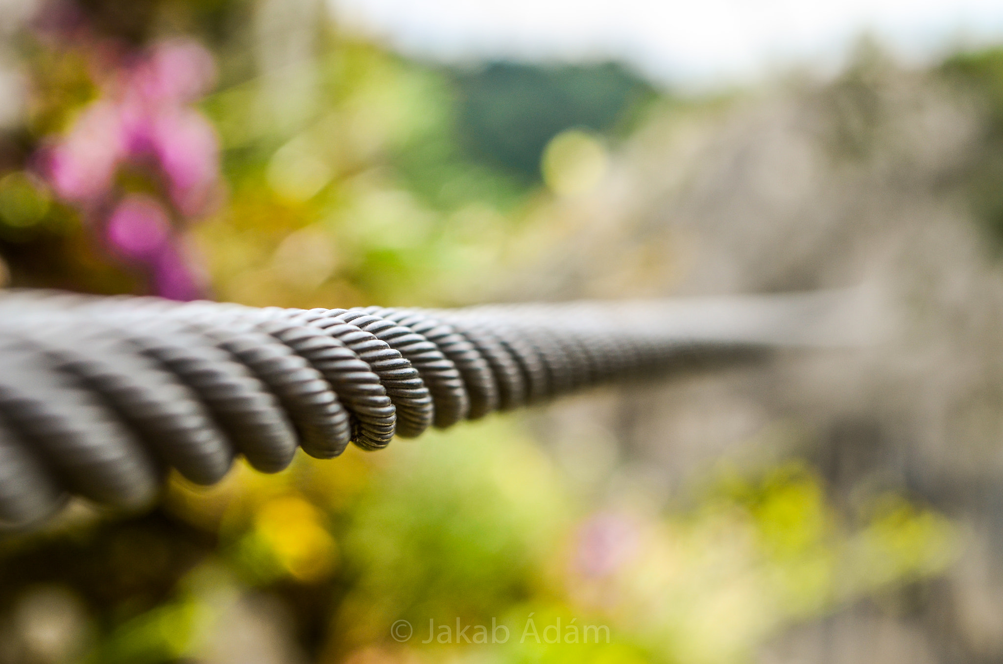 v2?sig=8e407047fab452179e4061b8f7badcc2e531488aadd176a17bf60e99a694e079