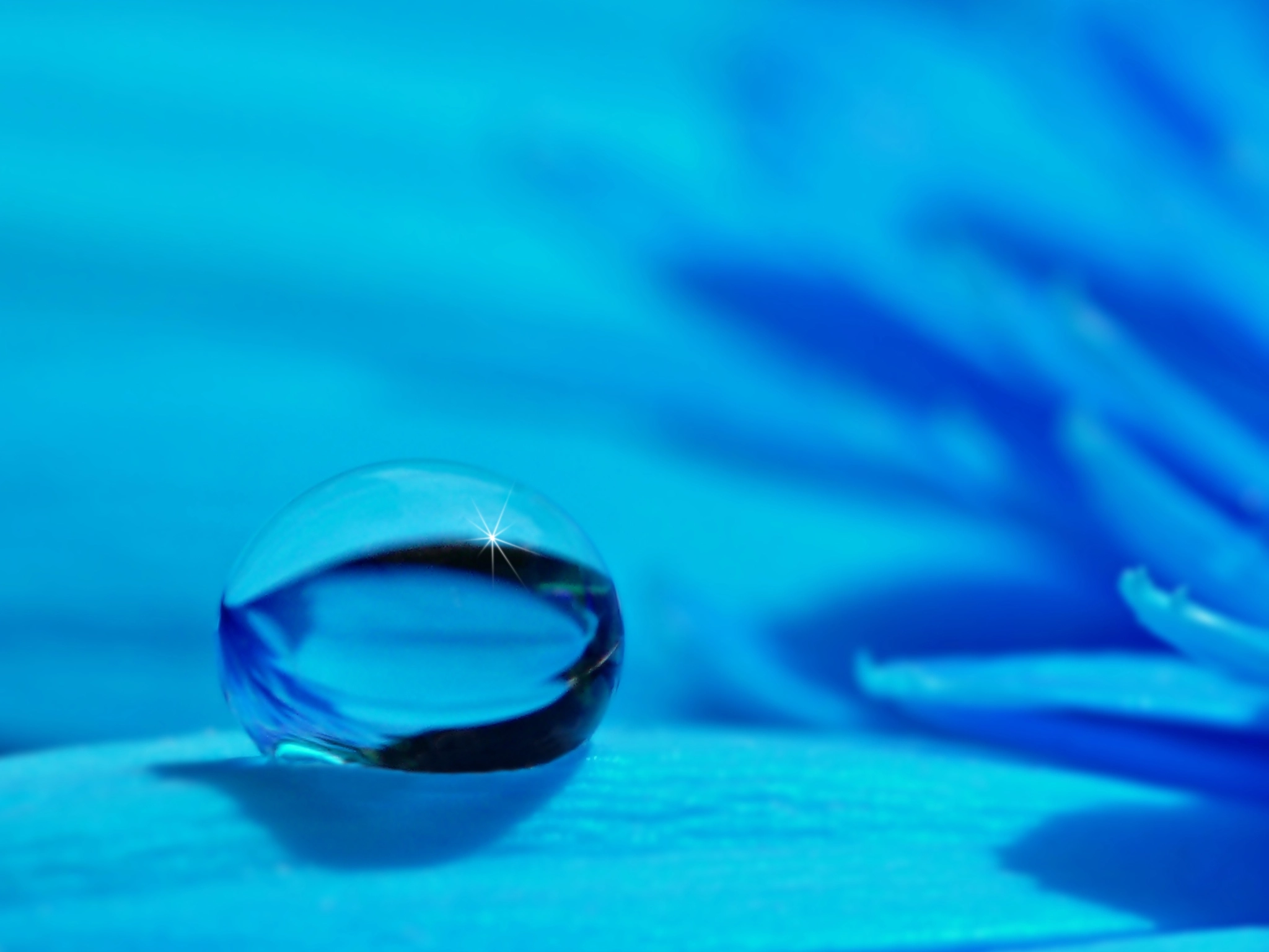 Drop