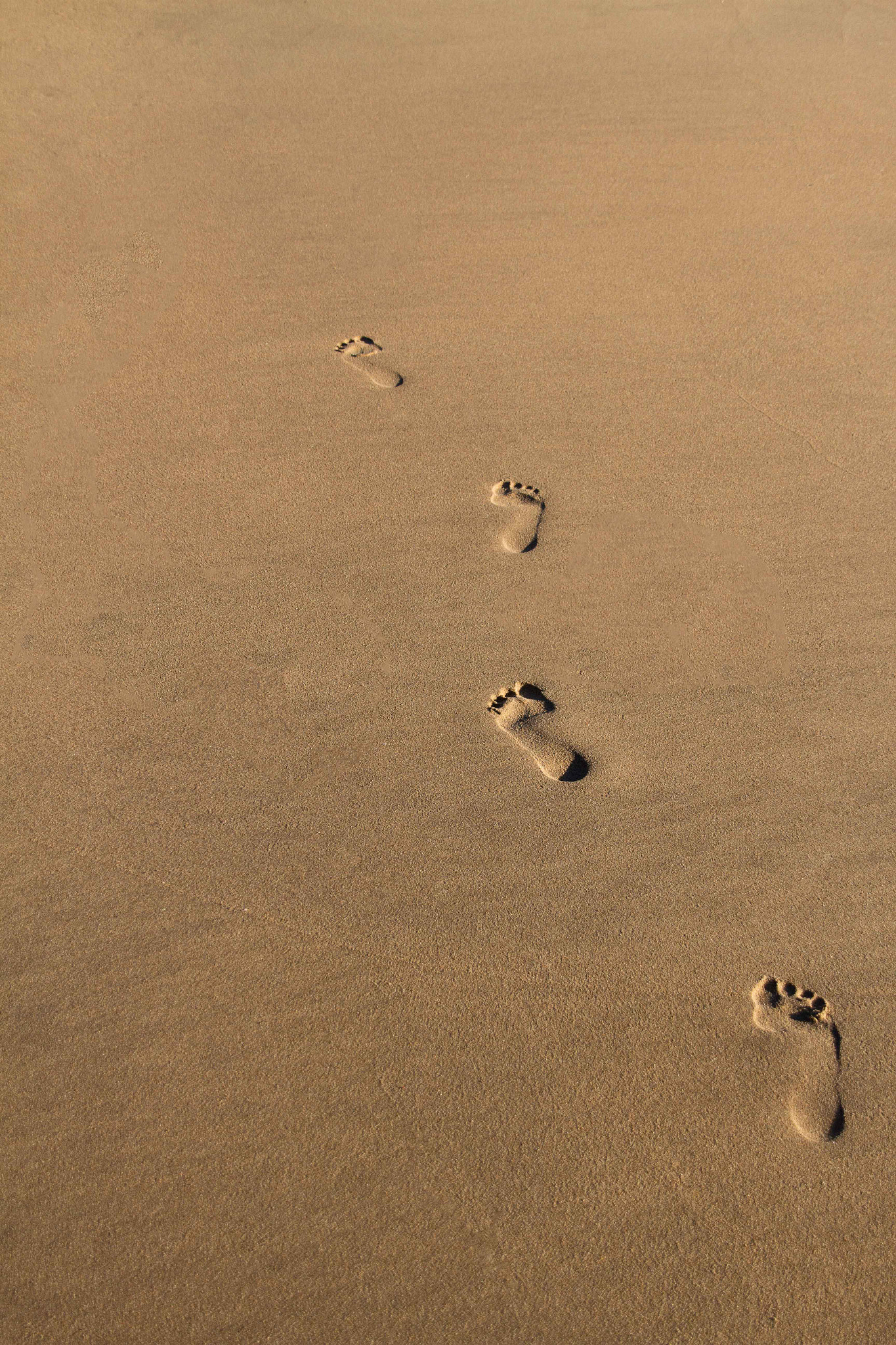 Footsteps in the Sand