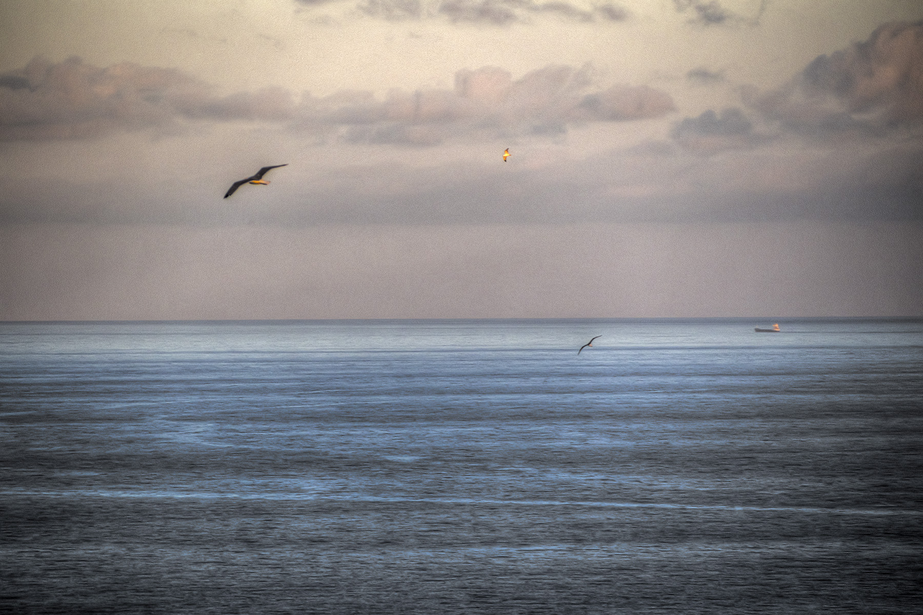 Panasonic Lumix G Vario 45-200mm F4-5.6 OIS sample photo. 3 seagulls and 1 ship photography